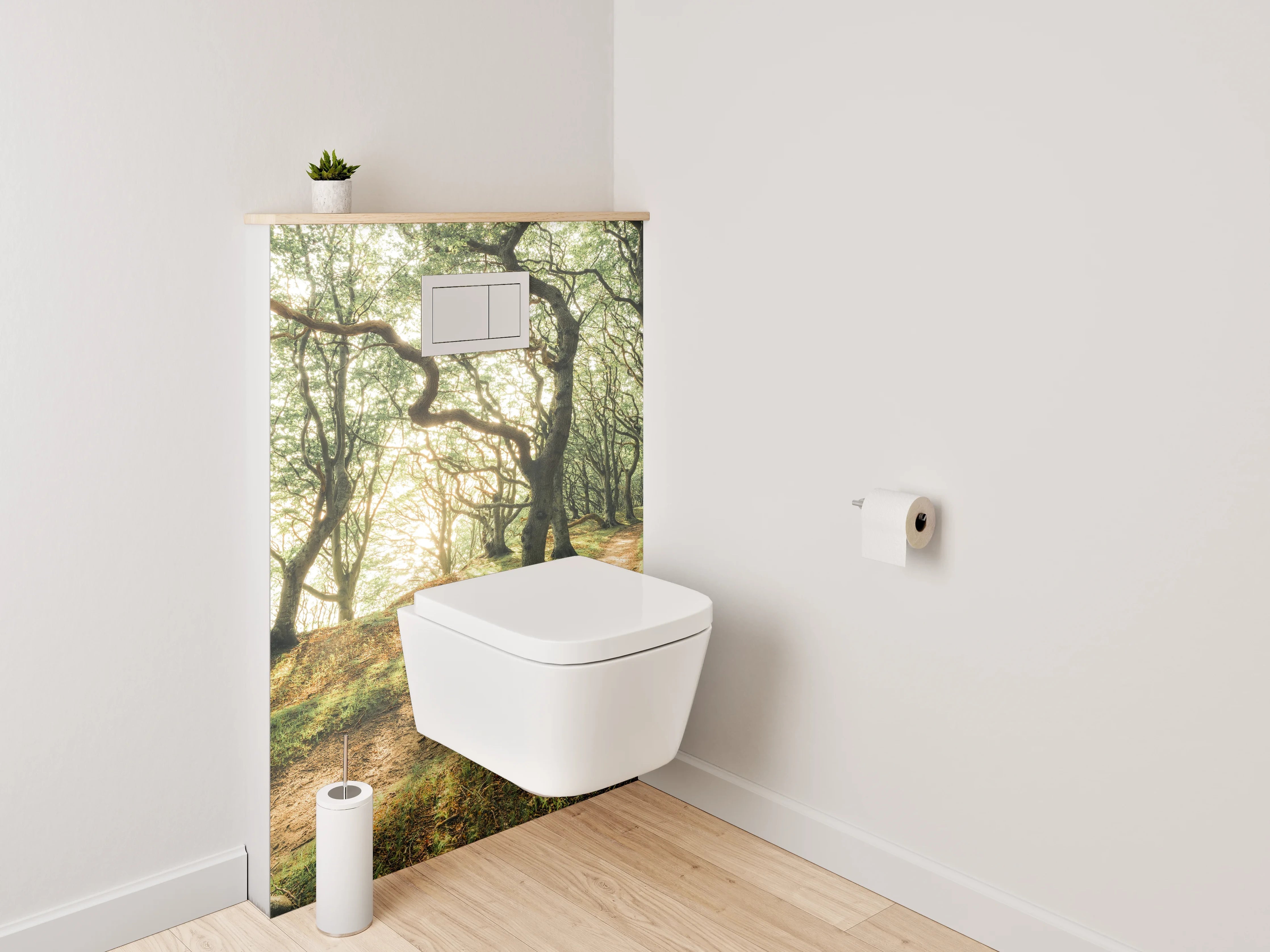 WC-Rückwand - Verzauberter Morgenwald Sonnenlicht