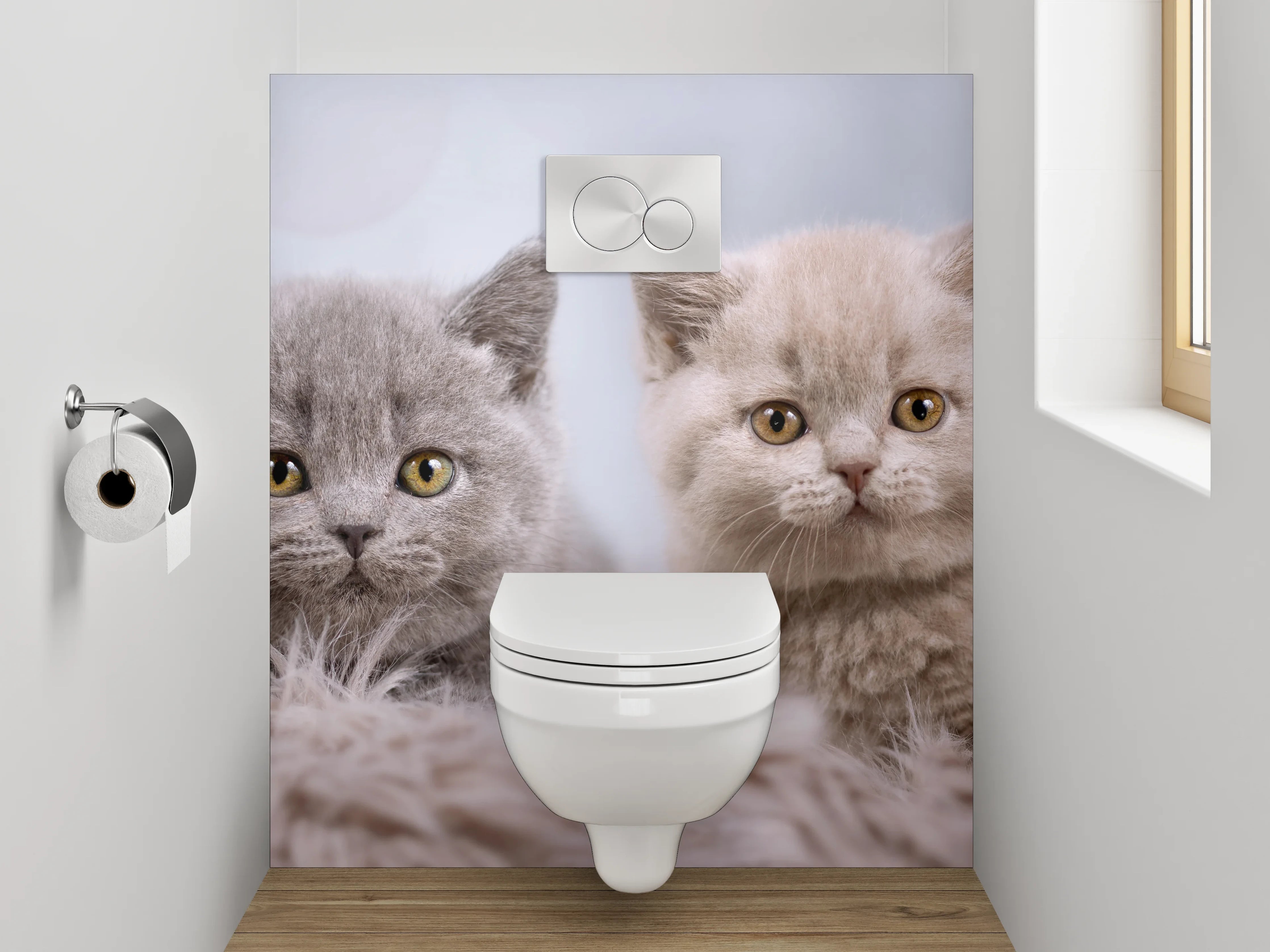 WC-Rückwand - Vier Britisch Kurzhaar Kätzchen süßes Motiv