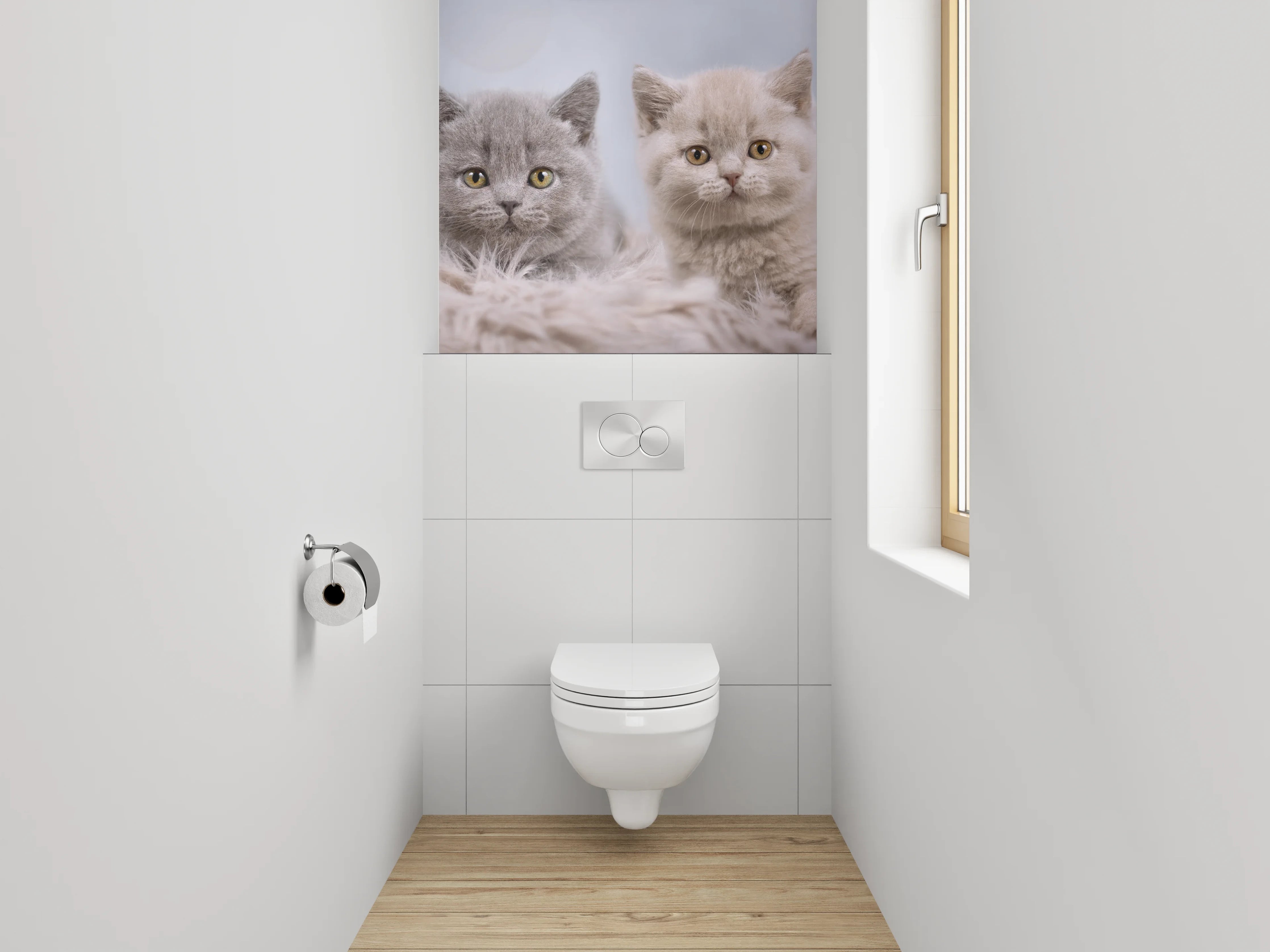 WC-Rückwand - Vier Britisch Kurzhaar Kätzchen süßes Motiv