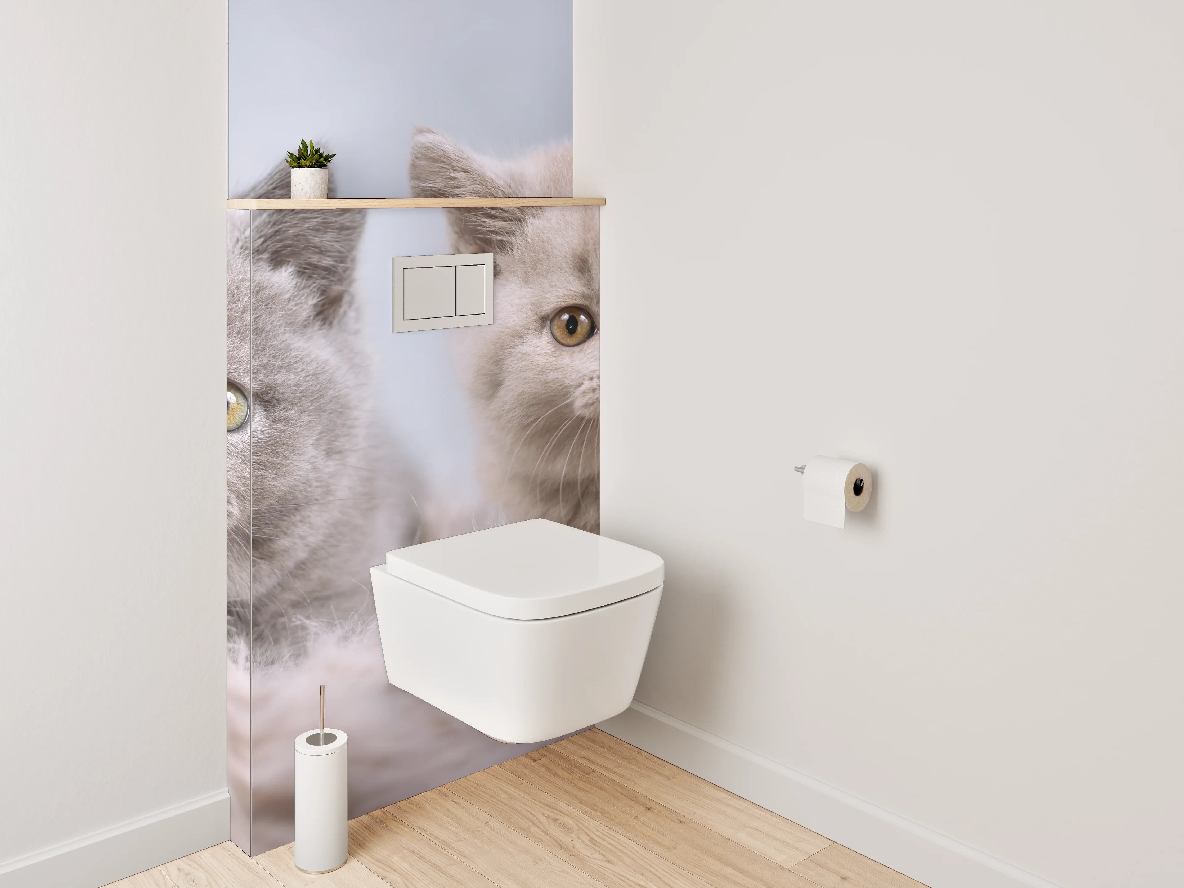 WC-Rückwand - Vier Britisch Kurzhaar Kätzchen süßes Motiv