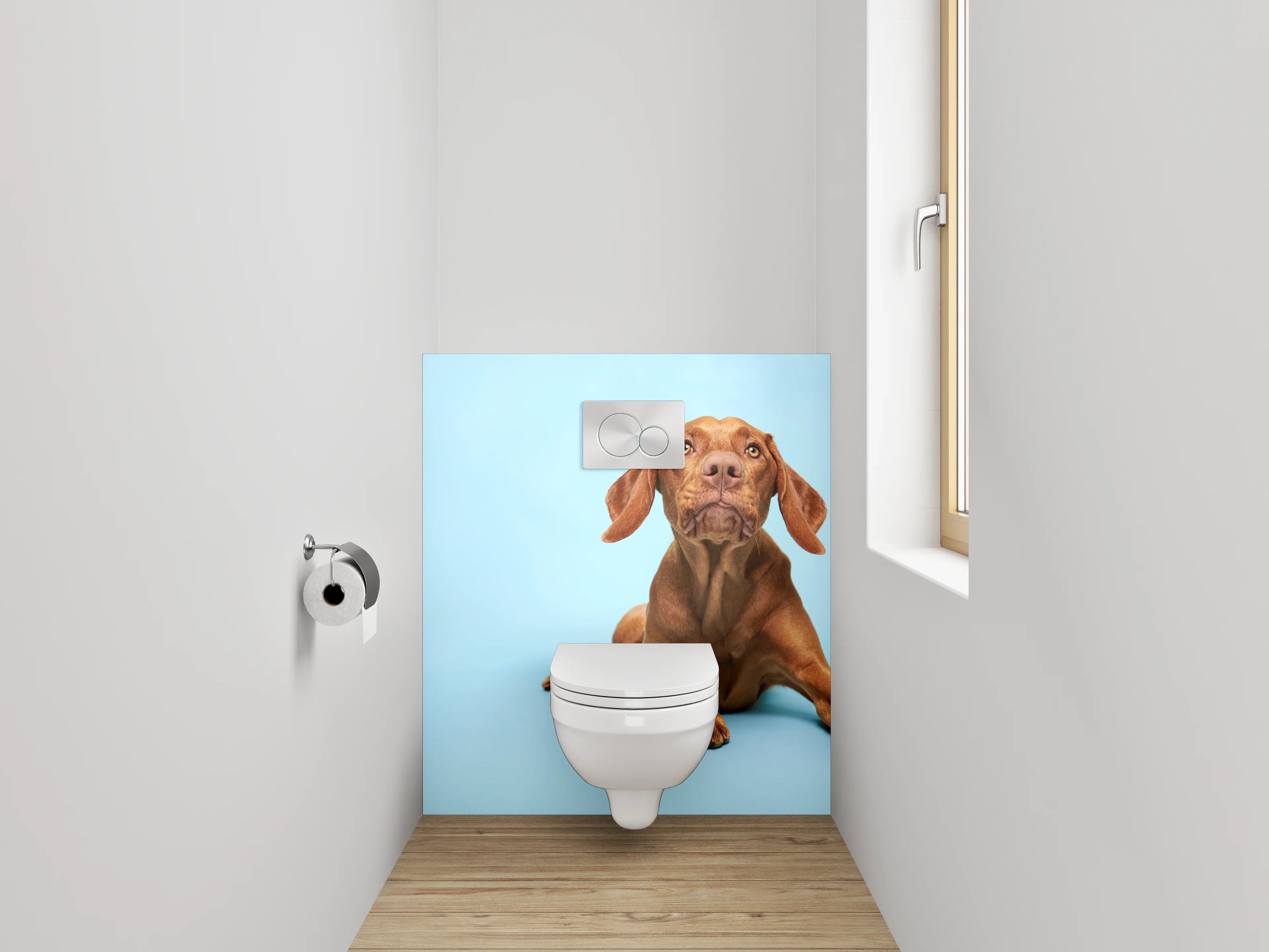 WC-Rückwand - Vizsla Hund auf blauem Hintergrund