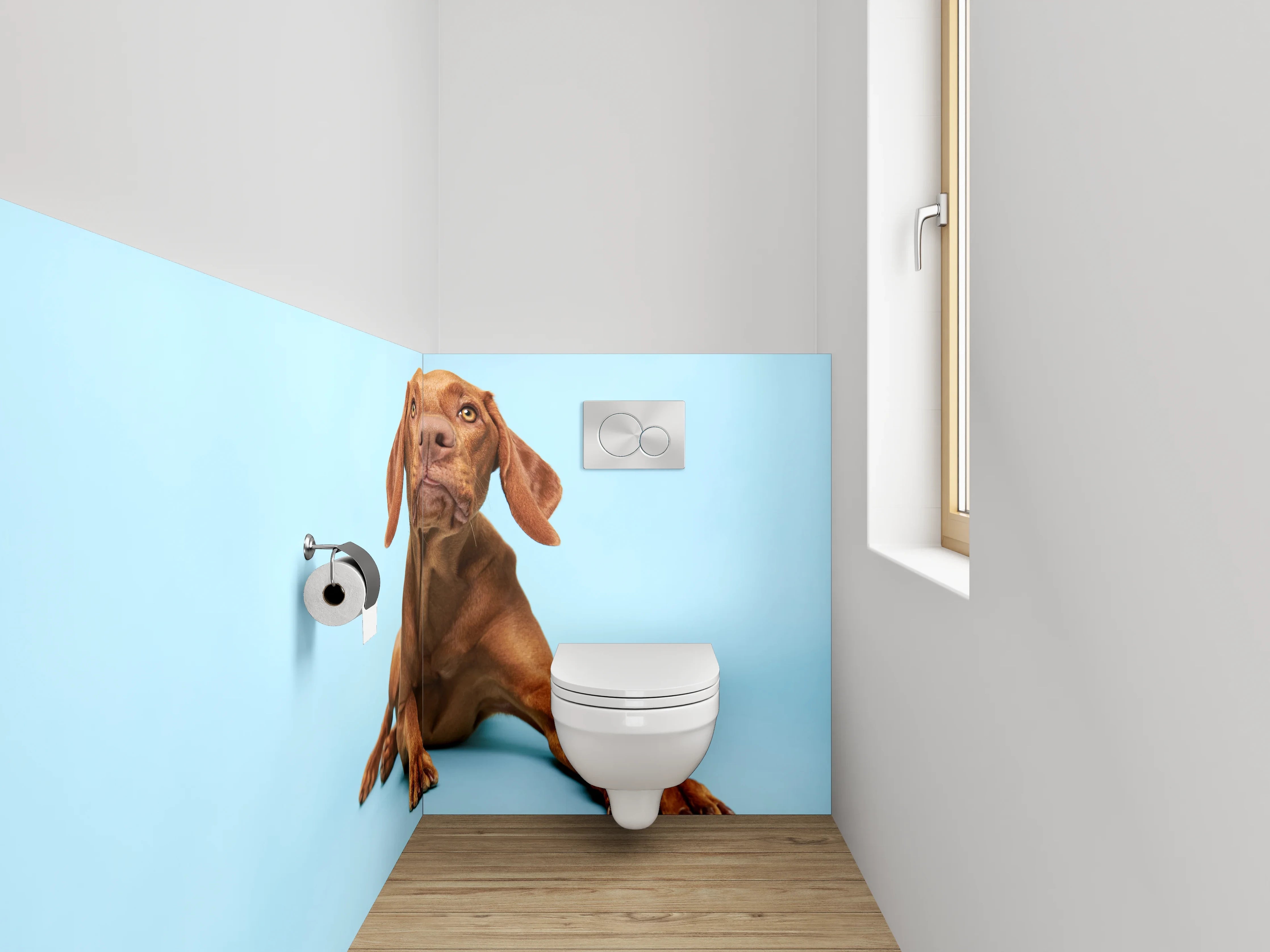 WC-Rückwand - Vizsla Hund auf blauem Hintergrund
