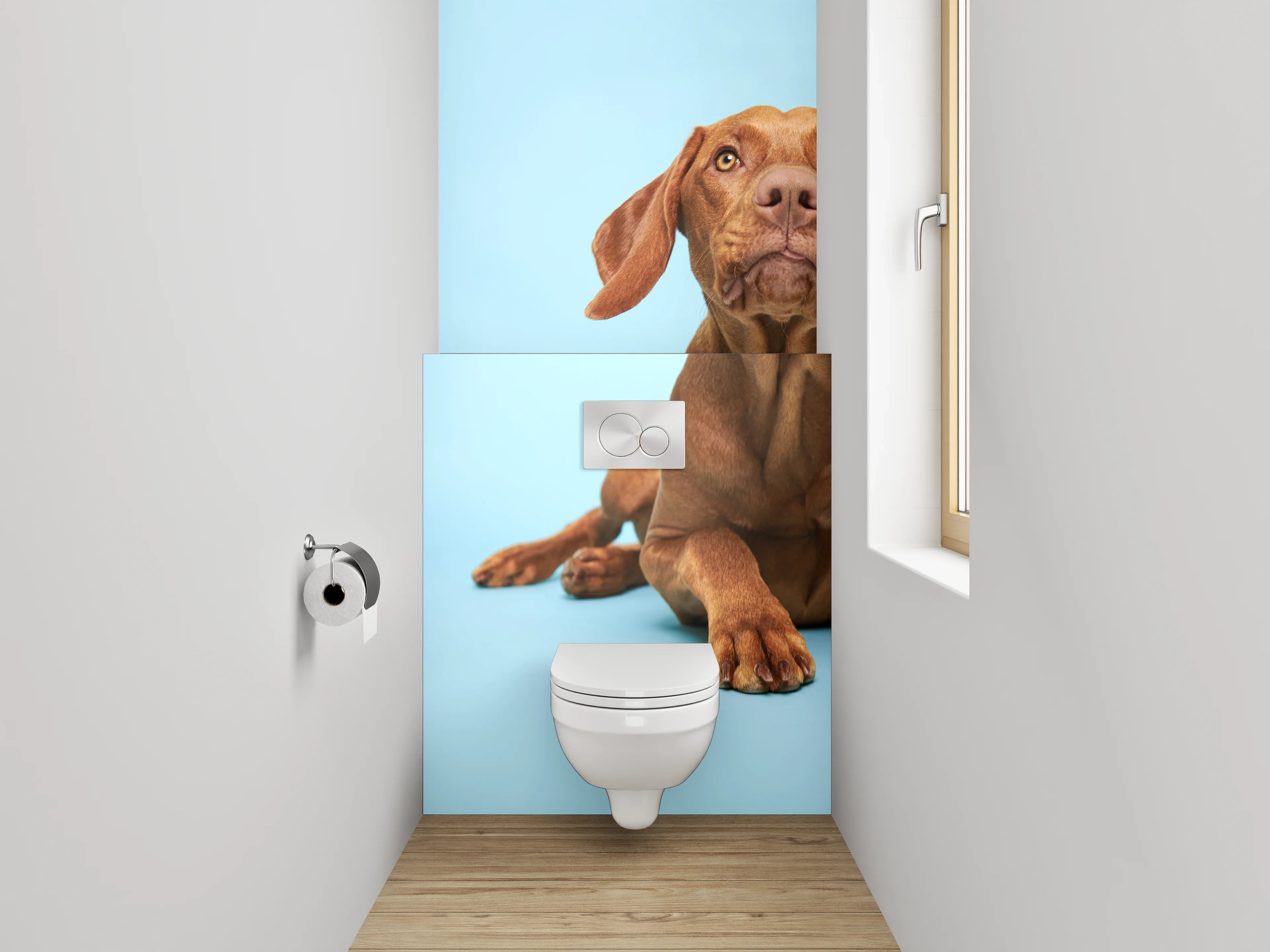 WC-Rückwand - Vizsla Hund auf blauem Hintergrund