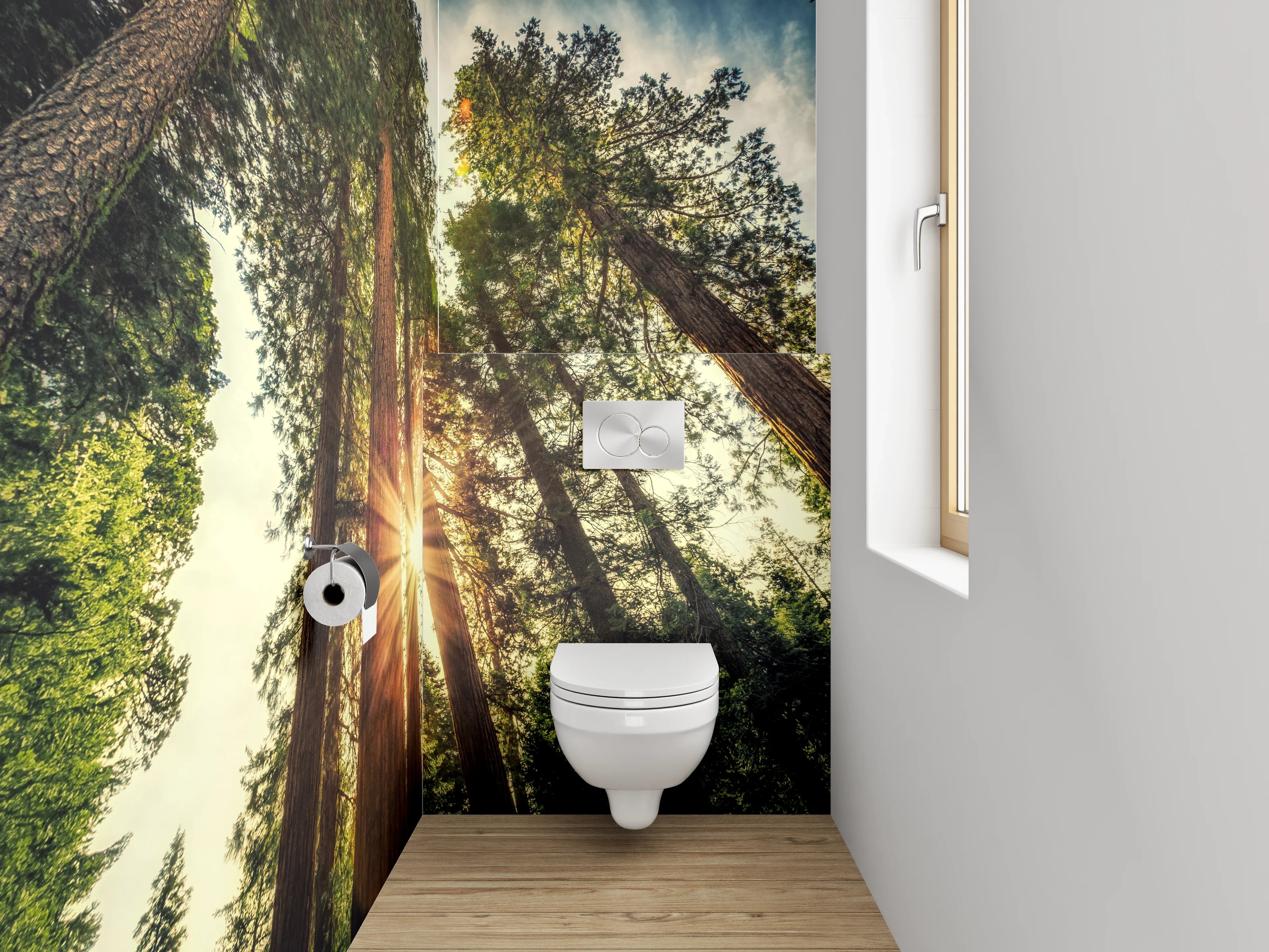WC-Rückwand - Wald Sonnenstrahlen Natur Panorama