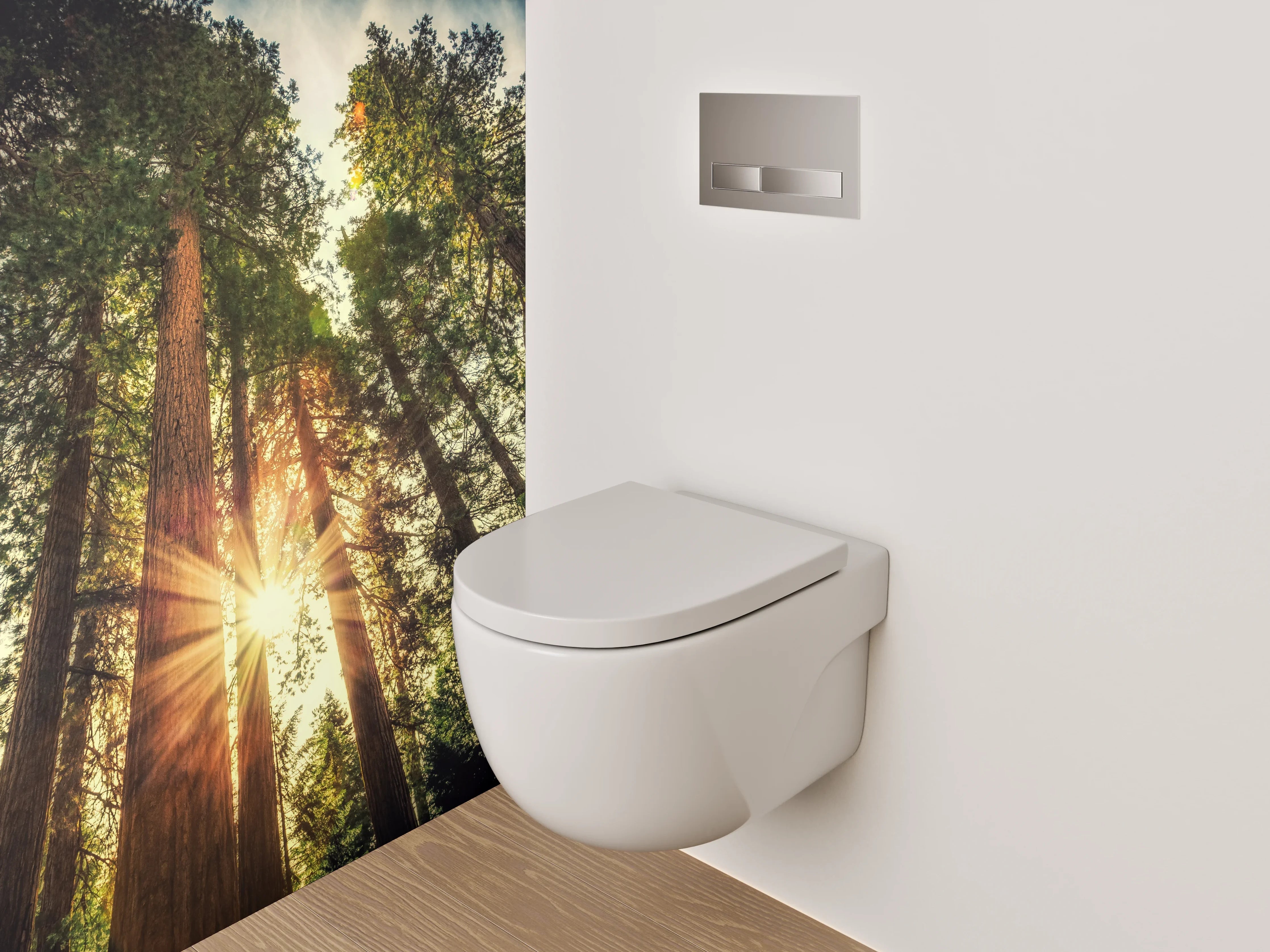 WC-Rückwand - Wald Sonnenstrahlen Natur Panorama