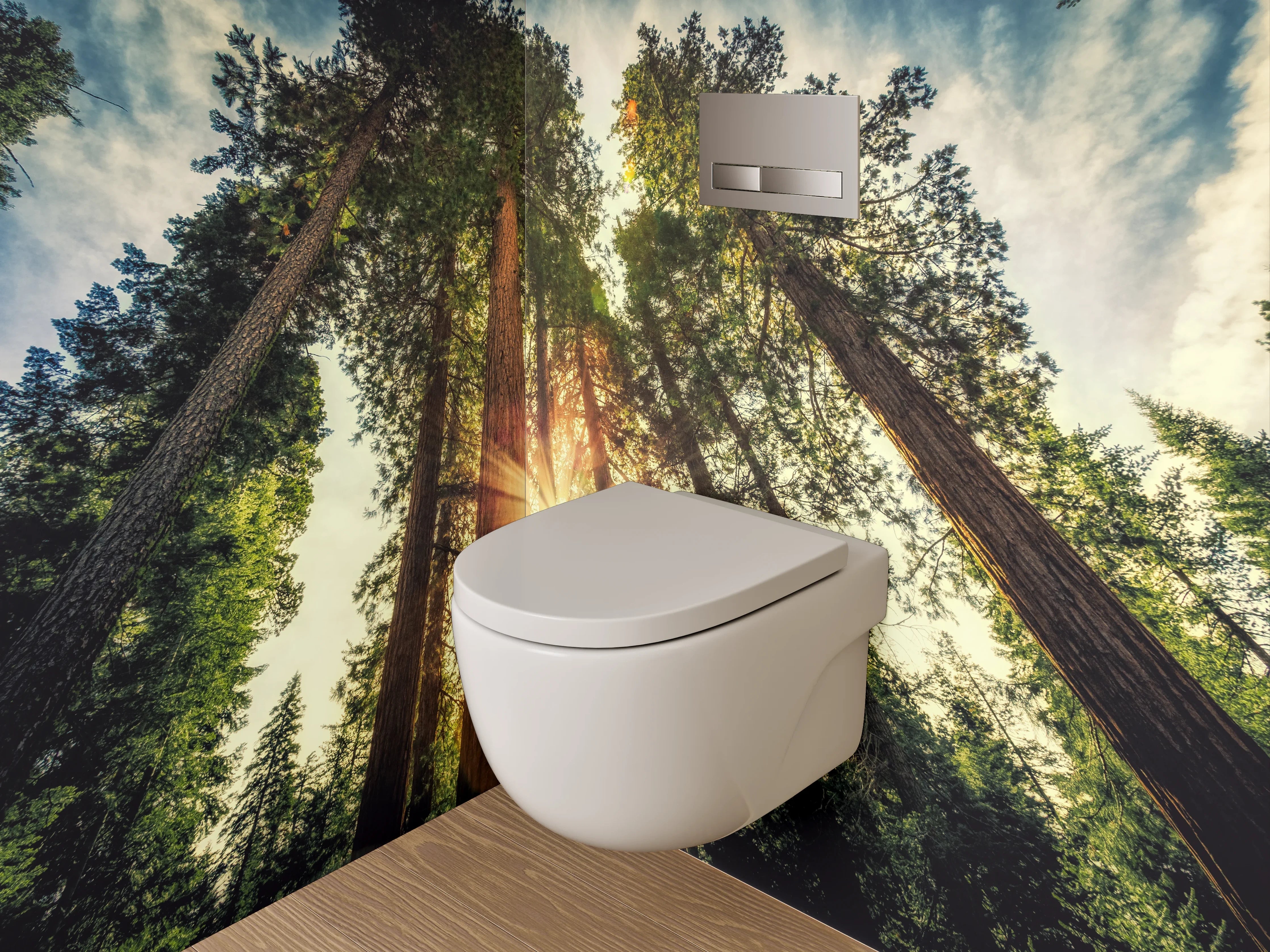 WC-Rückwand - Wald Sonnenstrahlen Natur Panorama