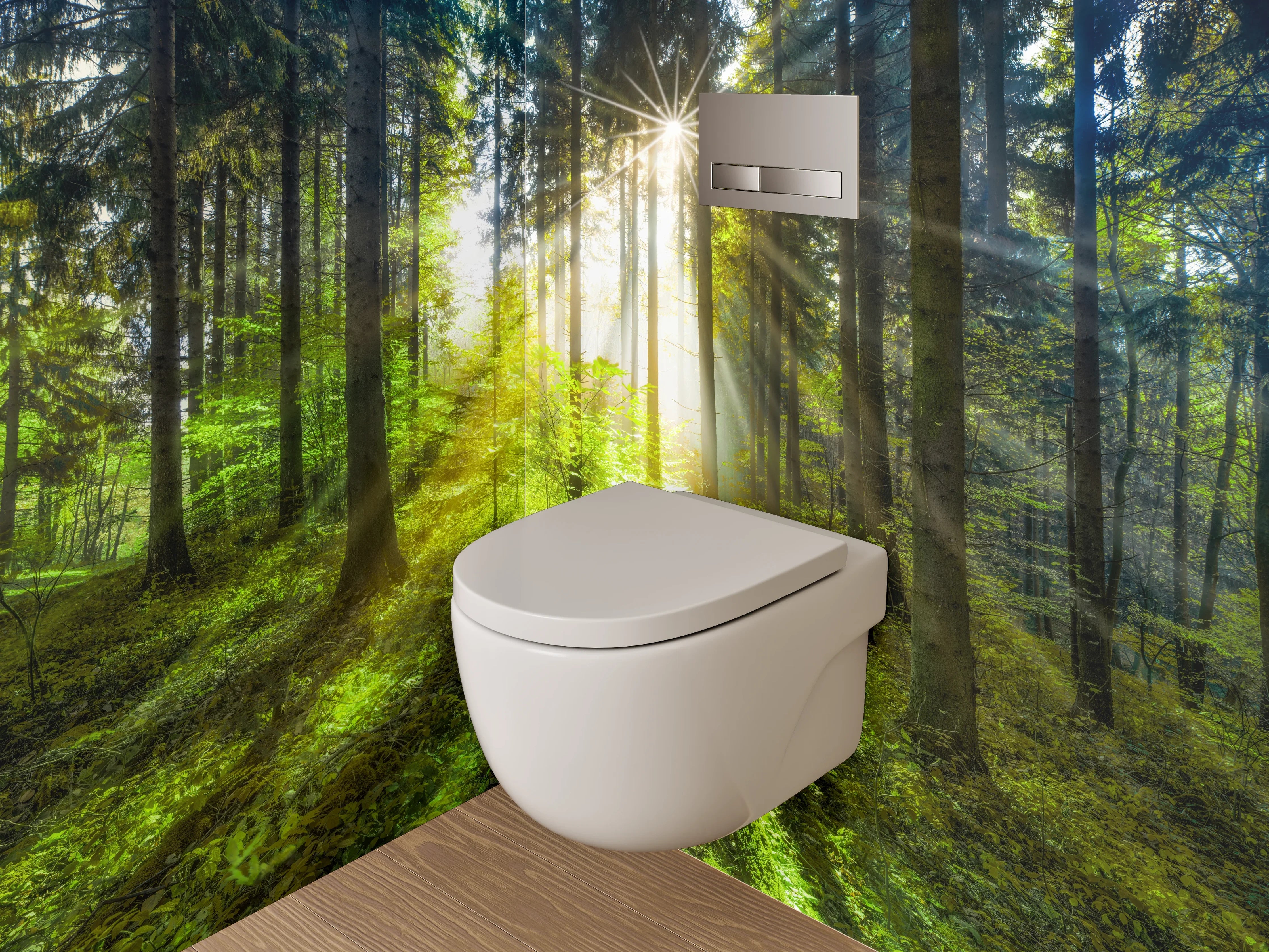 WC-Rückwand - Waldlichtung Sonnenstrahlen Naturmotiv