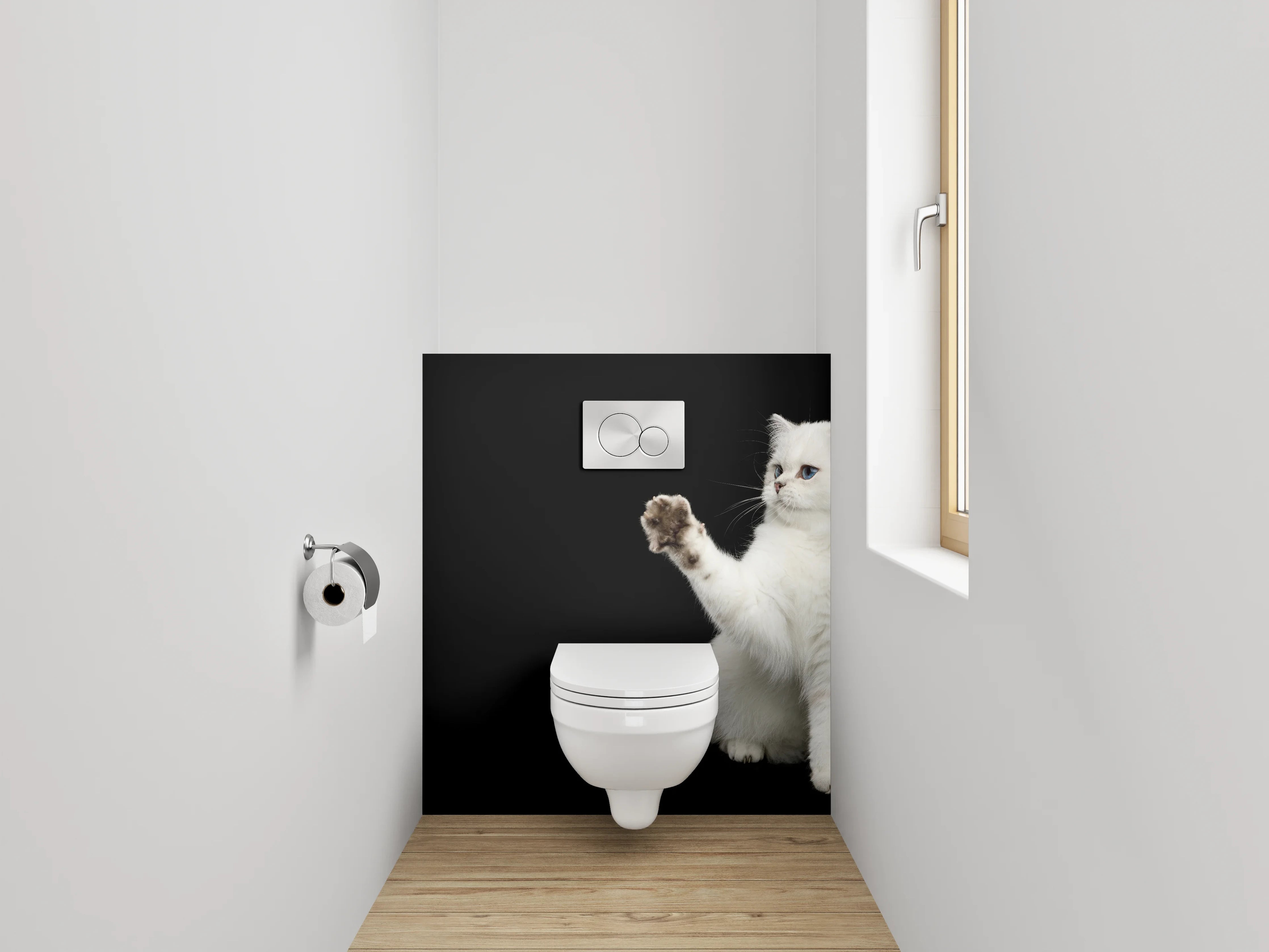 WC-Rückwand - Weiße Katze auf schwarzem Hintergrund