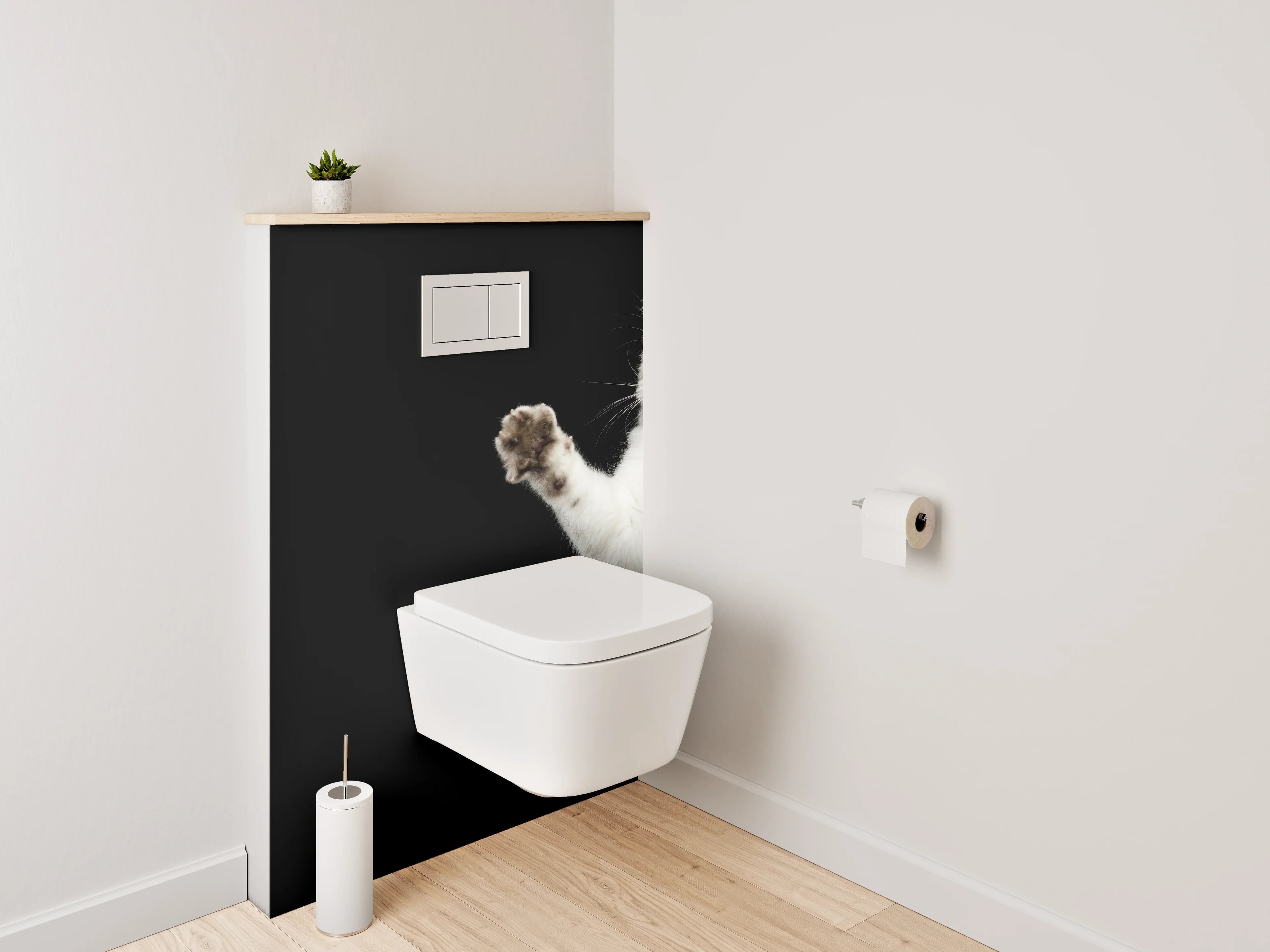 WC-Rückwand - Weiße Katze auf schwarzem Hintergrund