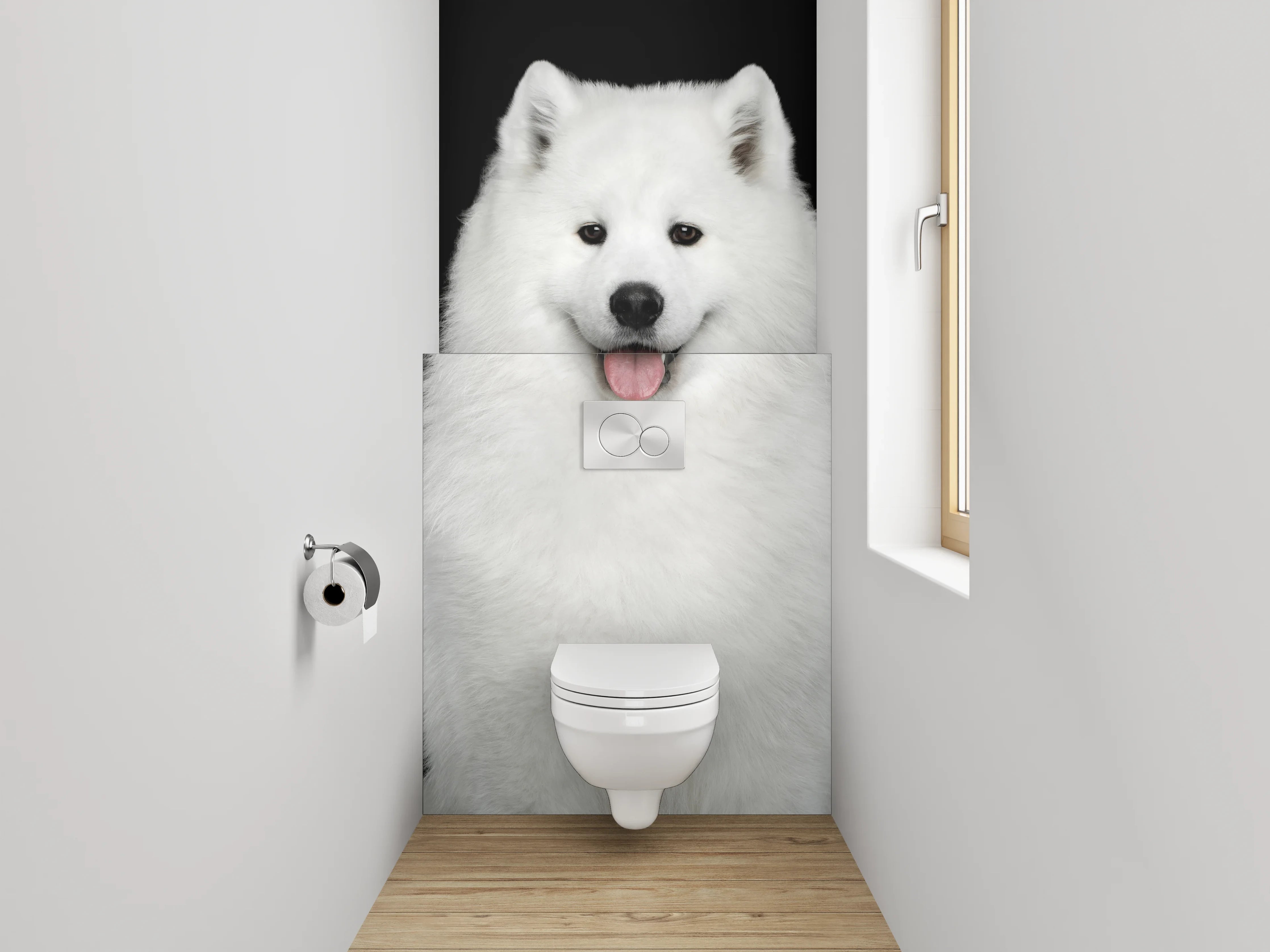WC-Rückwand - Weiße Schönheit: Samojede Hund Portrait