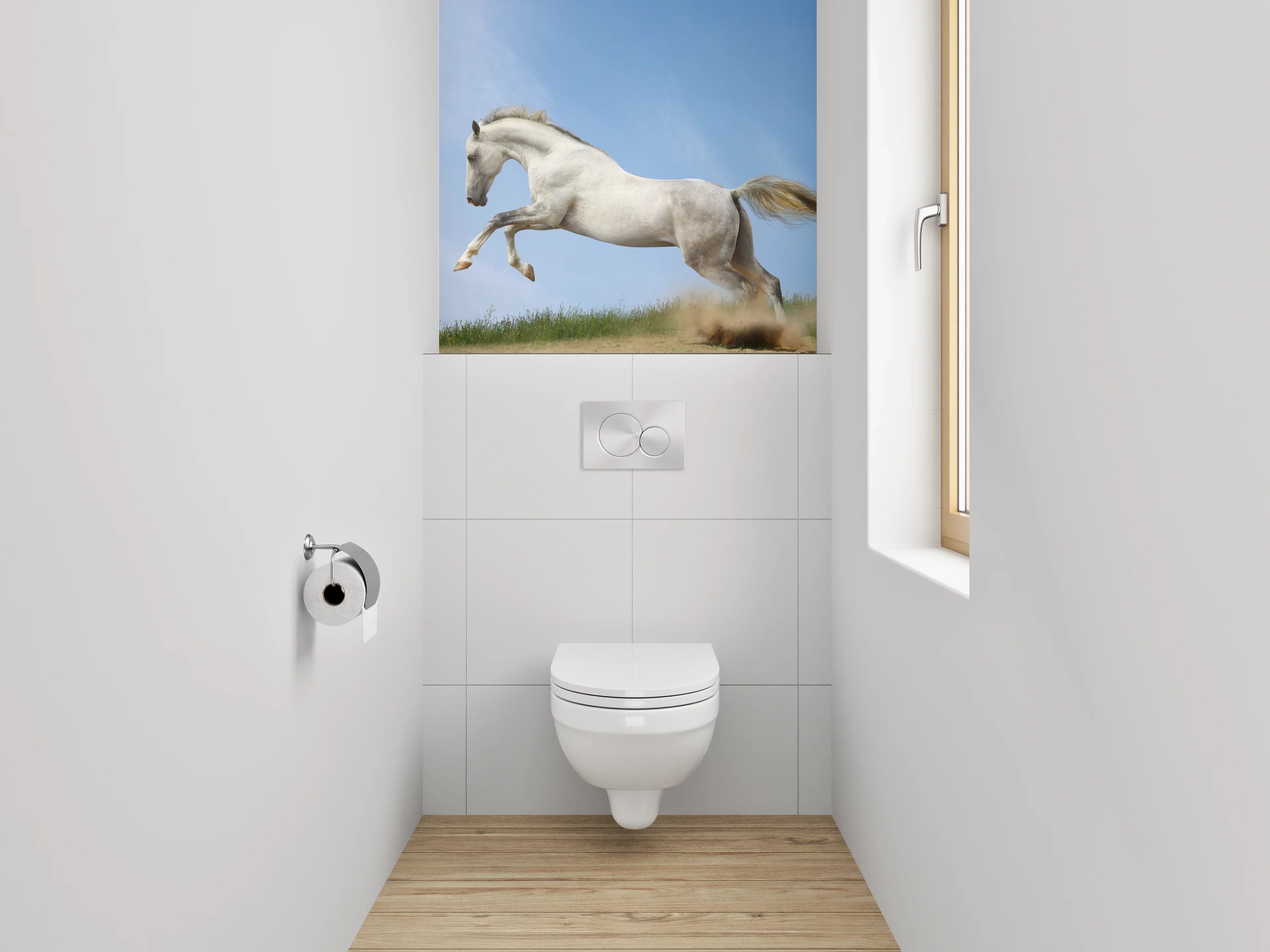 WC-Rückwand - Weißes Pferd galoppiert im Sonnenschein