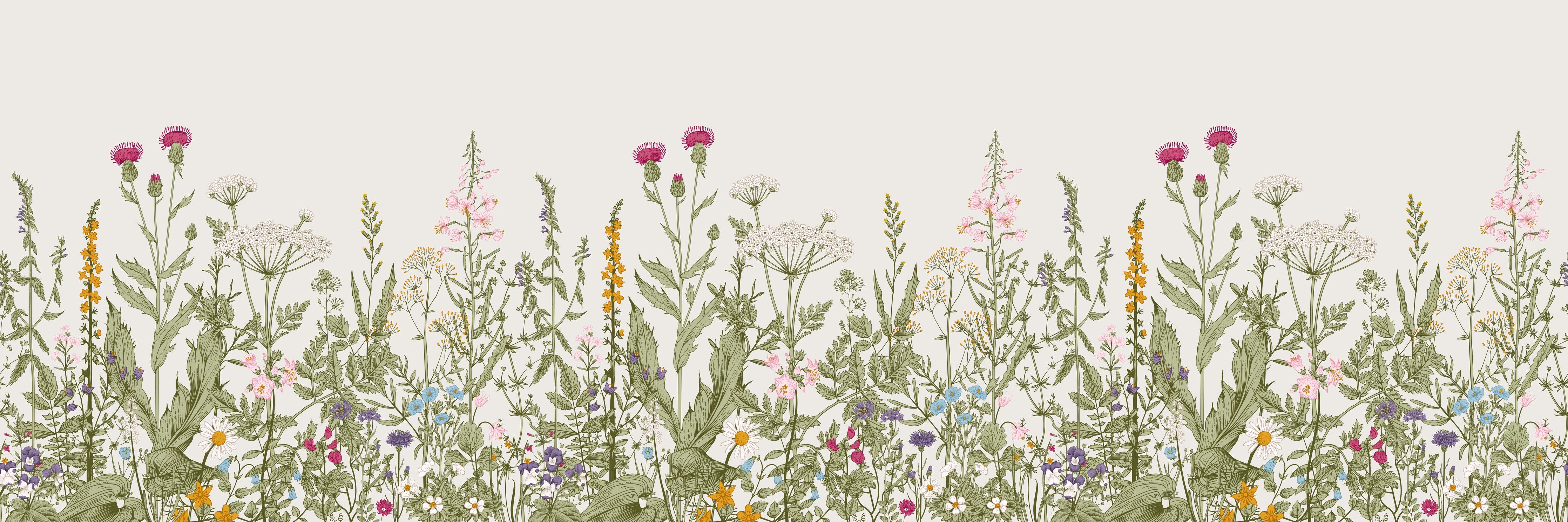 WC-Rückwand-Wiese aus Wildblumen Illustration