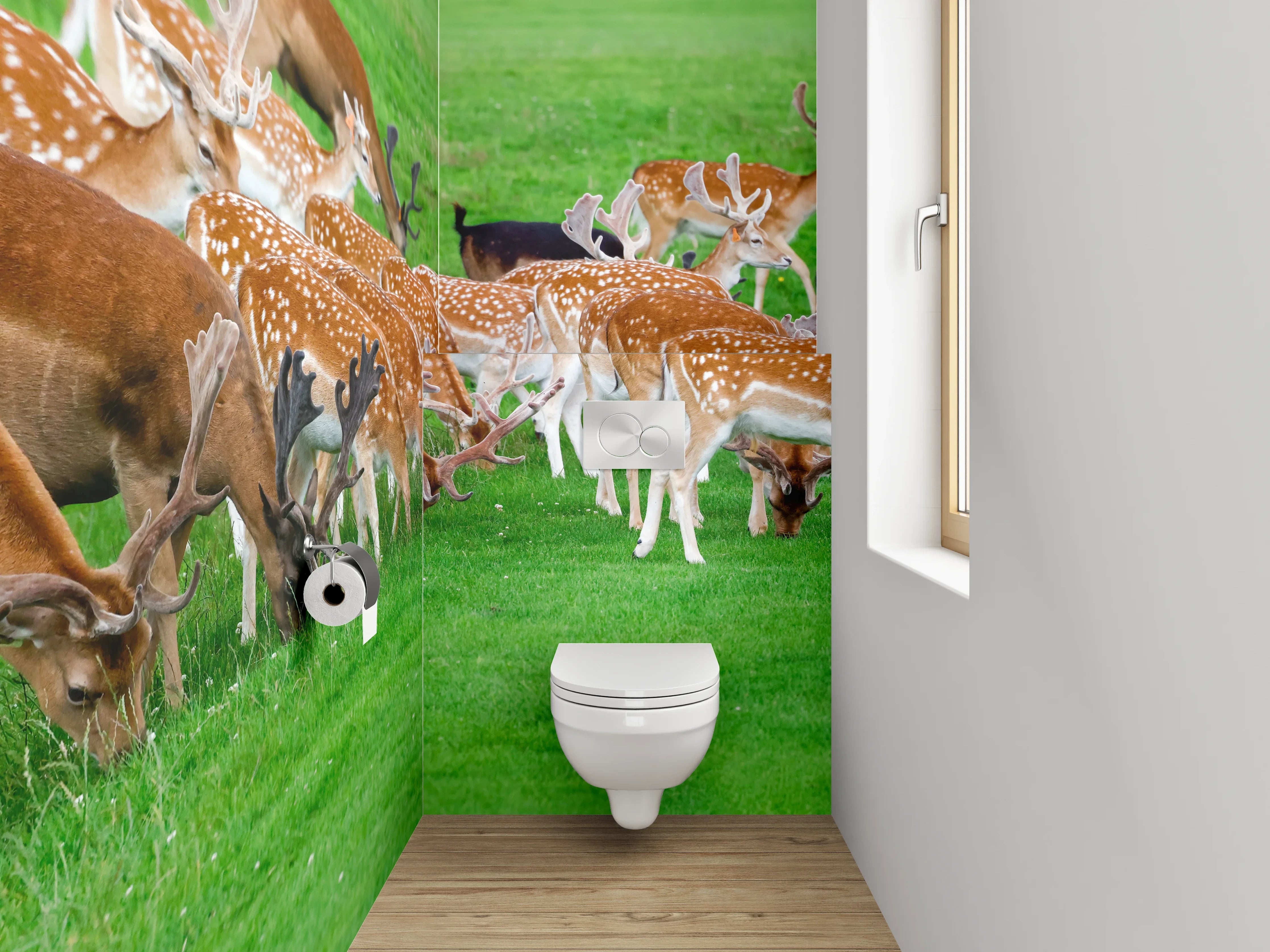 WC-Rückwand - Wild lebende Damhirsche auf grüner Wiese