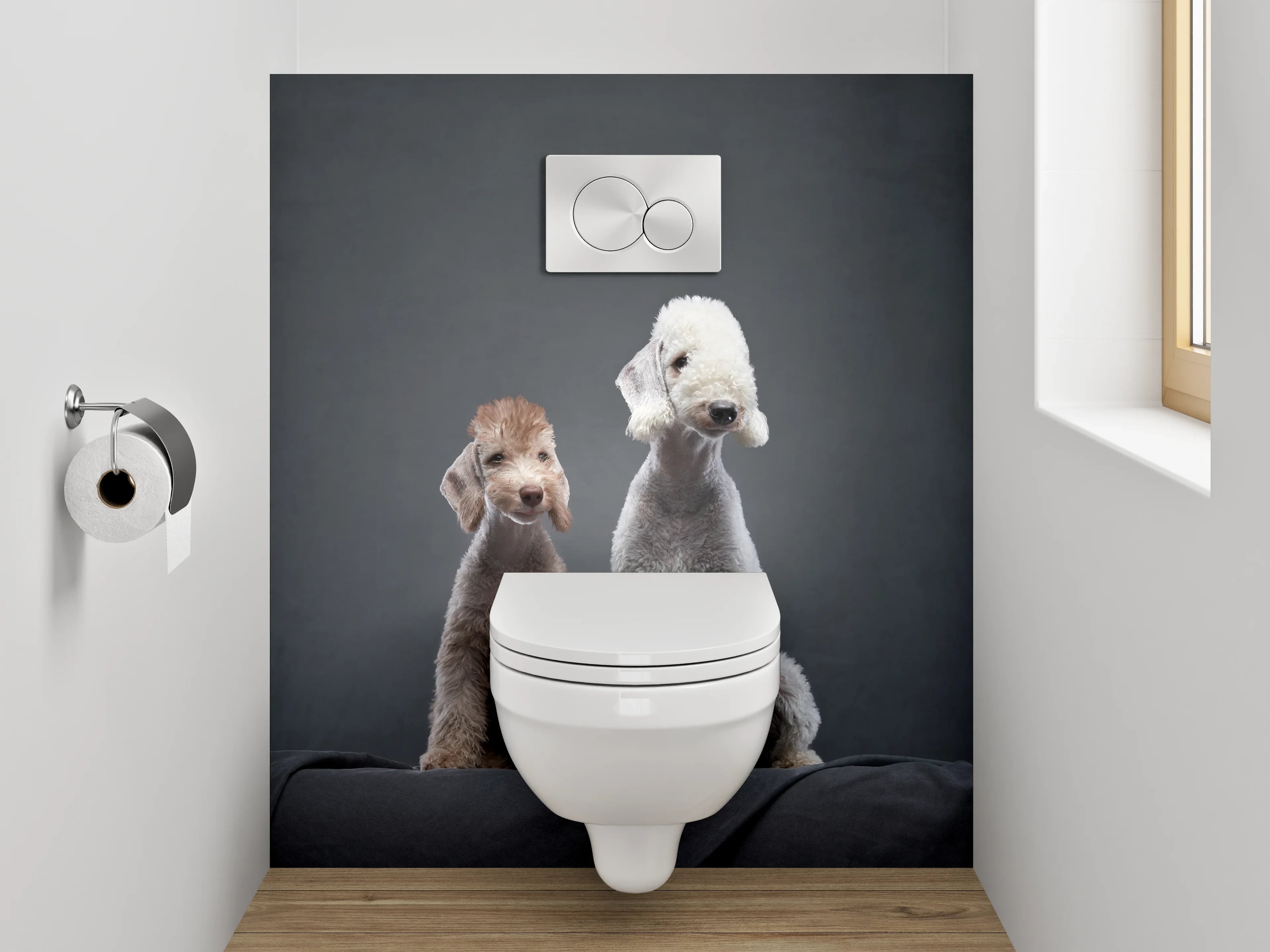 WC-Rückwand - Zwei Bedlington Terrier auf dunklem Hintergrund