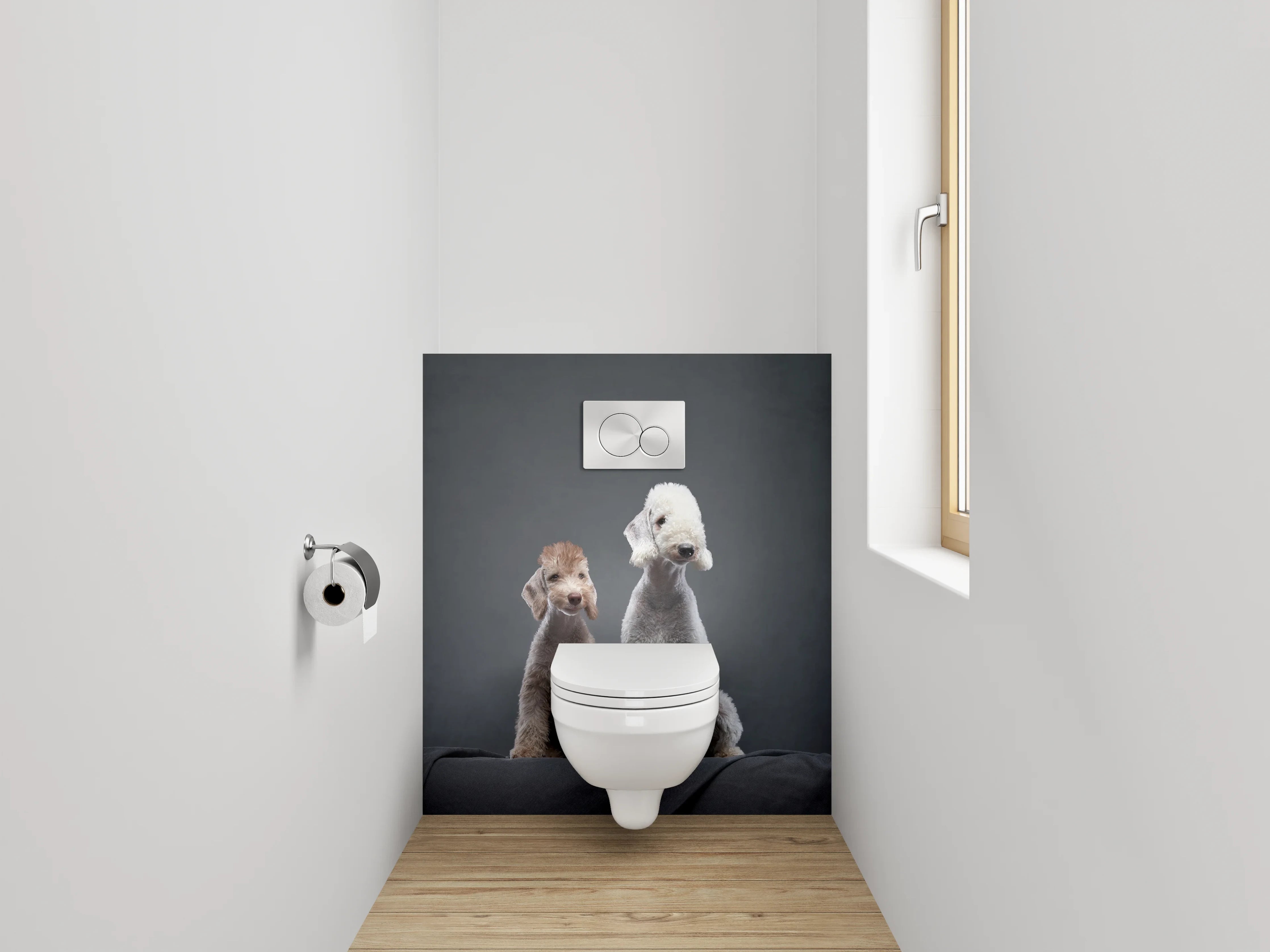 WC-Rückwand - Zwei Bedlington Terrier auf dunklem Hintergrund