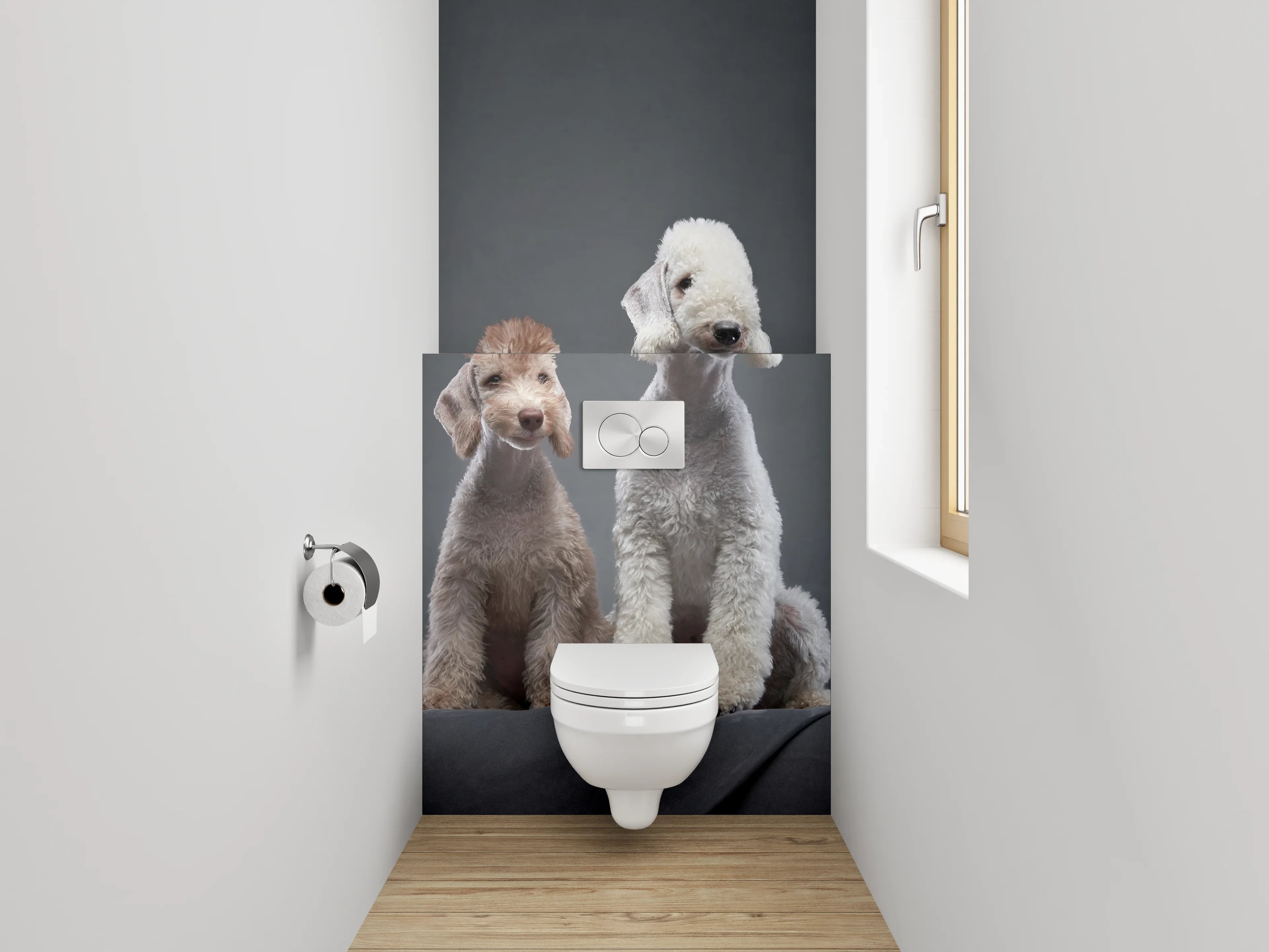 WC-Rückwand - Zwei Bedlington Terrier auf dunklem Hintergrund