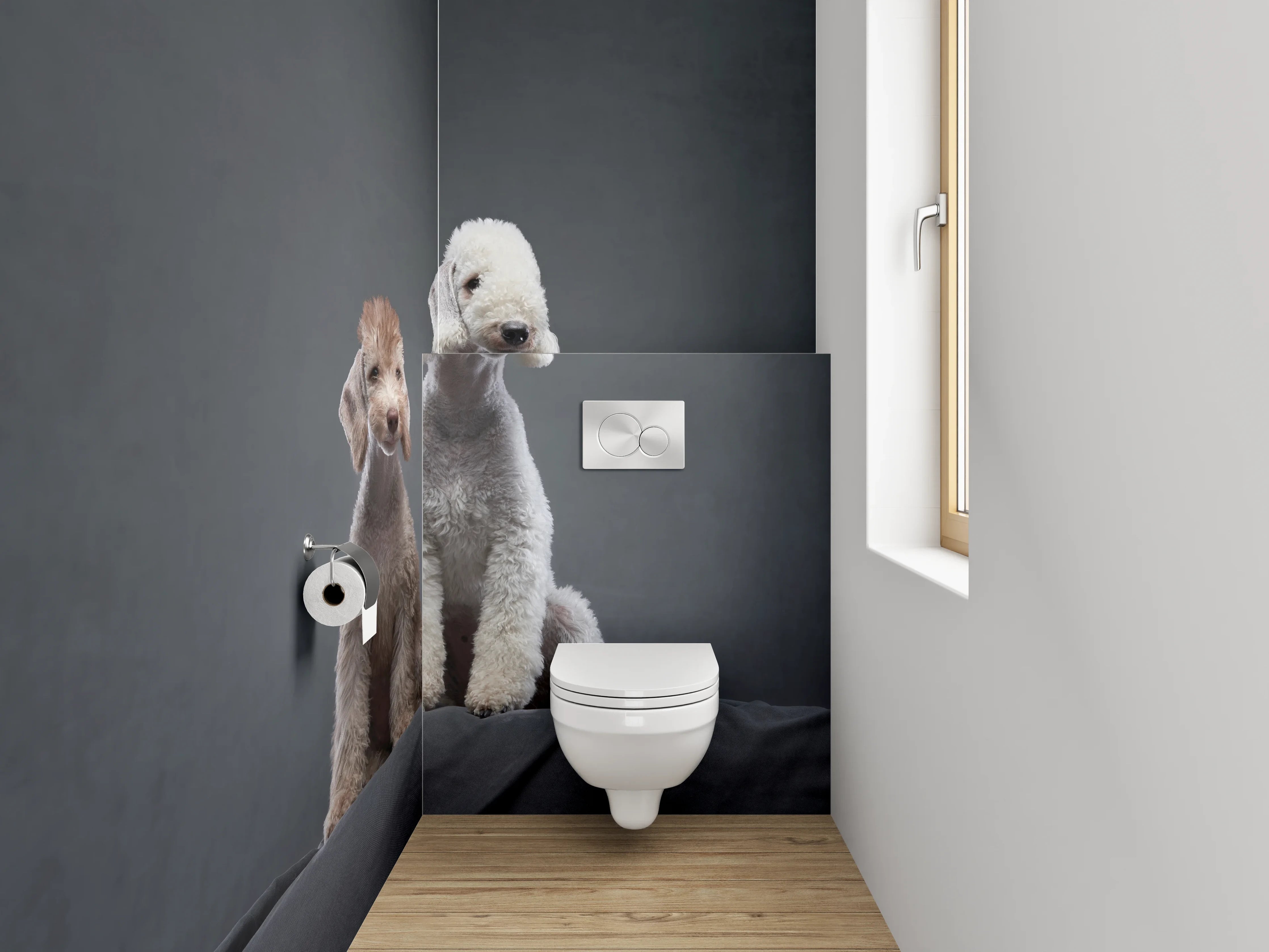 WC-Rückwand - Zwei Bedlington Terrier auf dunklem Hintergrund