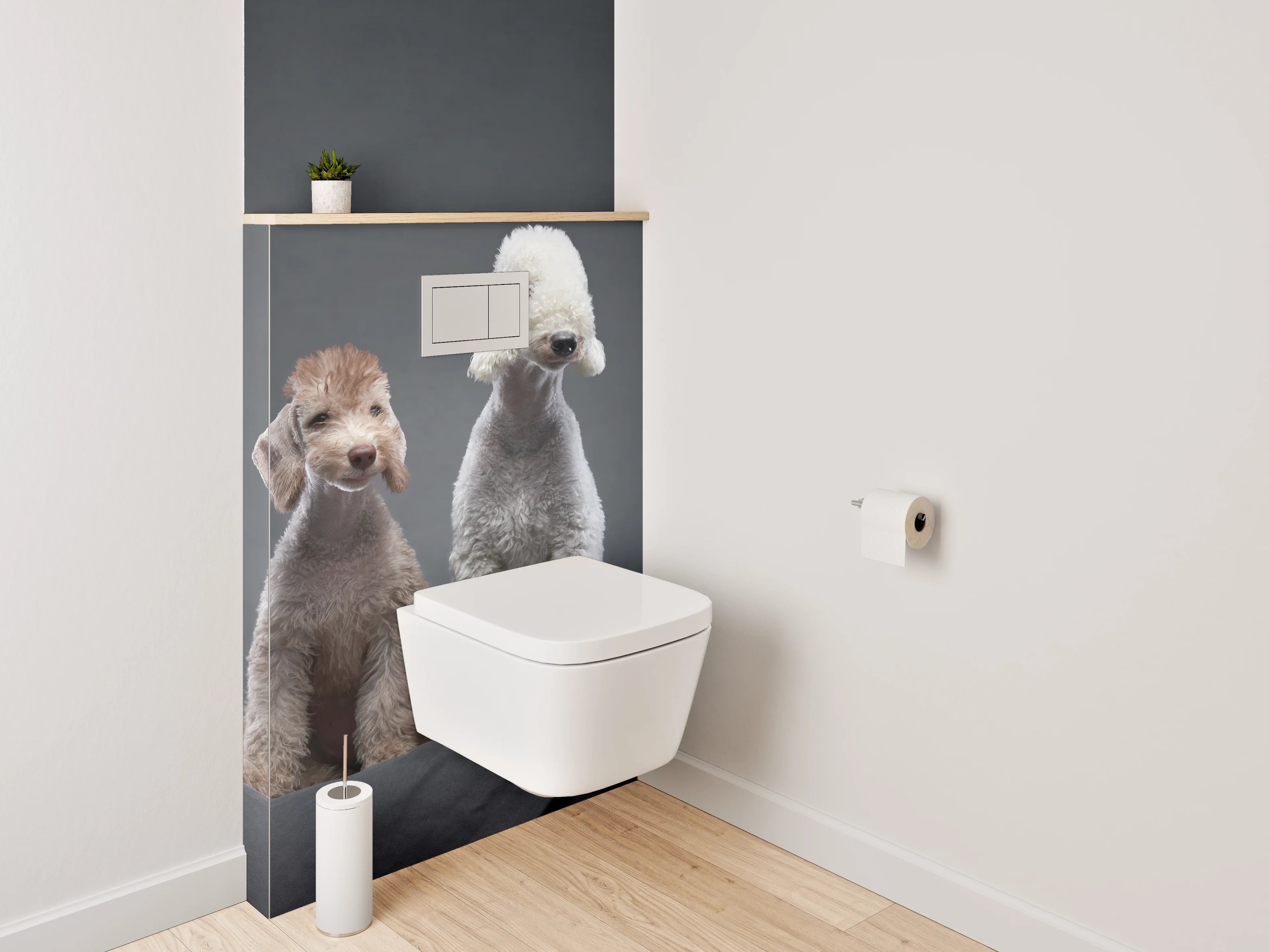 WC-Rückwand - Zwei Bedlington Terrier auf dunklem Hintergrund