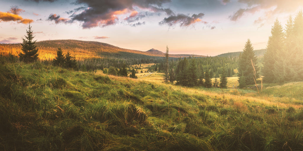 Wandbild-Abendlicher Berg Luzný - Tschechien