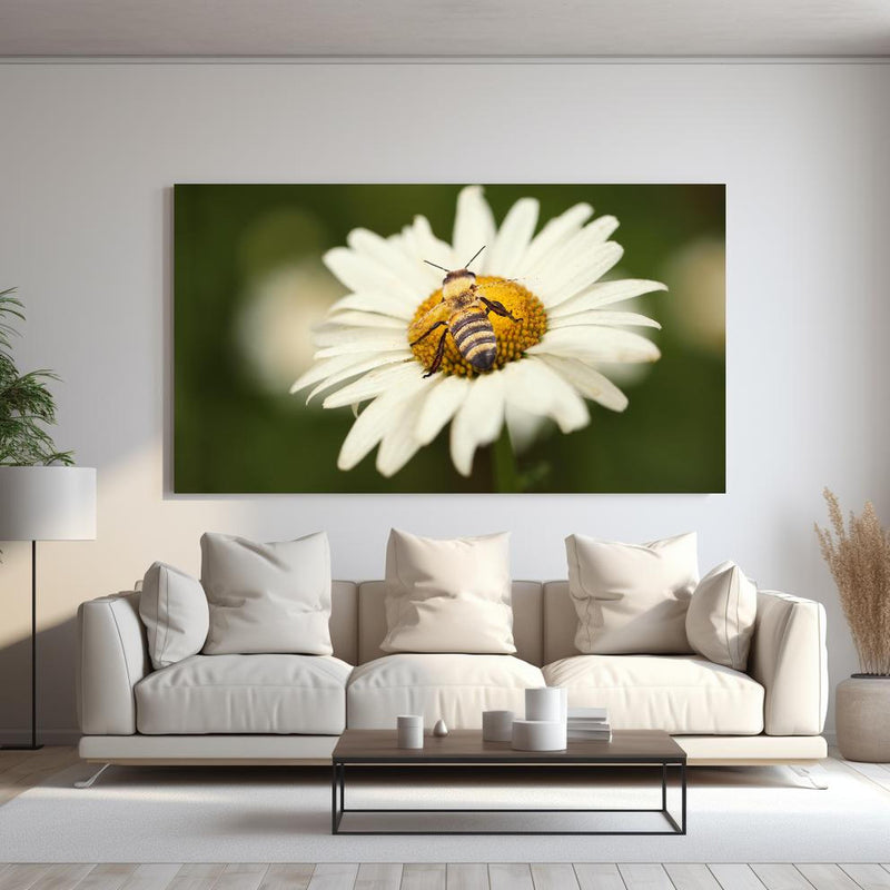 Wandbild - Biene auf einem Gänseblümchen - Rueckwand24