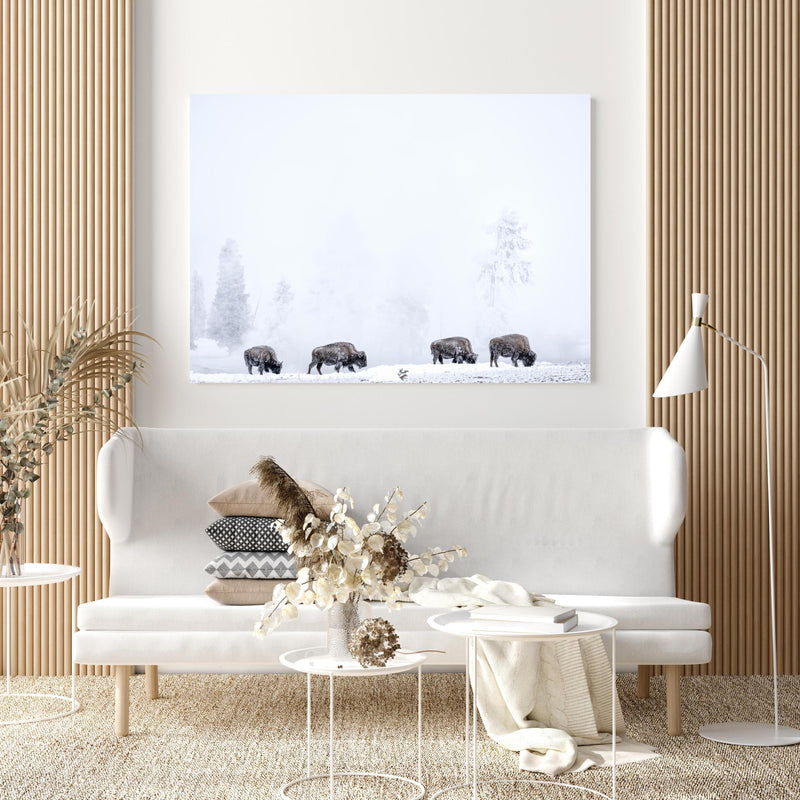 Wandbild - Bisons im kalten Wald in extravagant gestaltetem Raum mit minimalistischer Couch-quadratisch