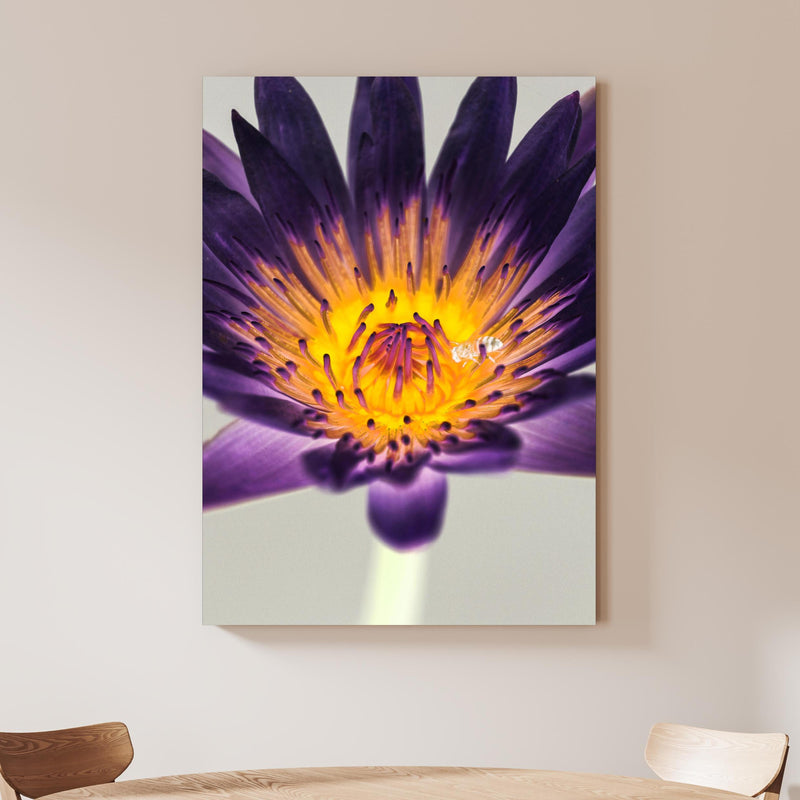 Wandbild - Blumen Portrait - Floral an beiger Wand hinter handgeschnitztem Holztisch Zoom