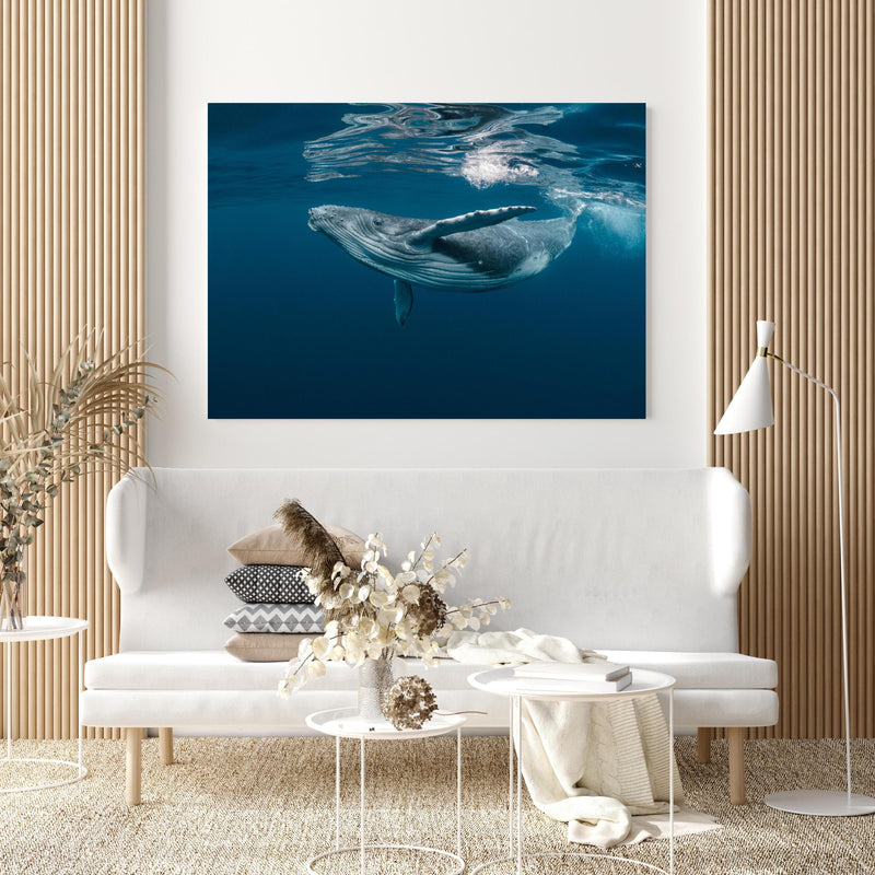 Wandbild - Buckelbaby - nähe Wasseroberfläche in extravagant gestaltetem Raum mit minimalistischer Couch-quadratisch