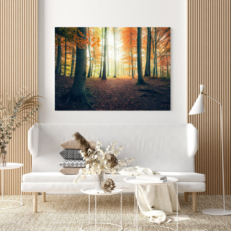 Wandbild - Dunkler Wald im Herbst in extravagant gestaltetem Raum mit minimalistischer Couch-quadratisch