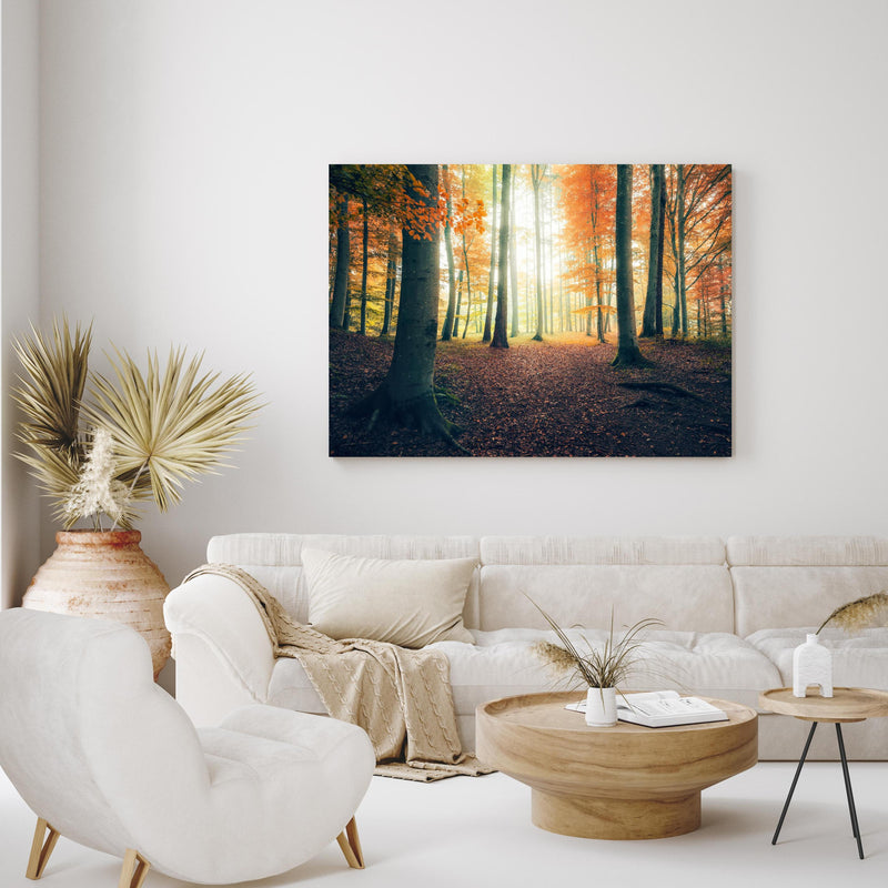 Wandbild - Dunkler Wald im Herbst in exotisch eingerichtetem Wohnzimmer über gemütlicher Couch