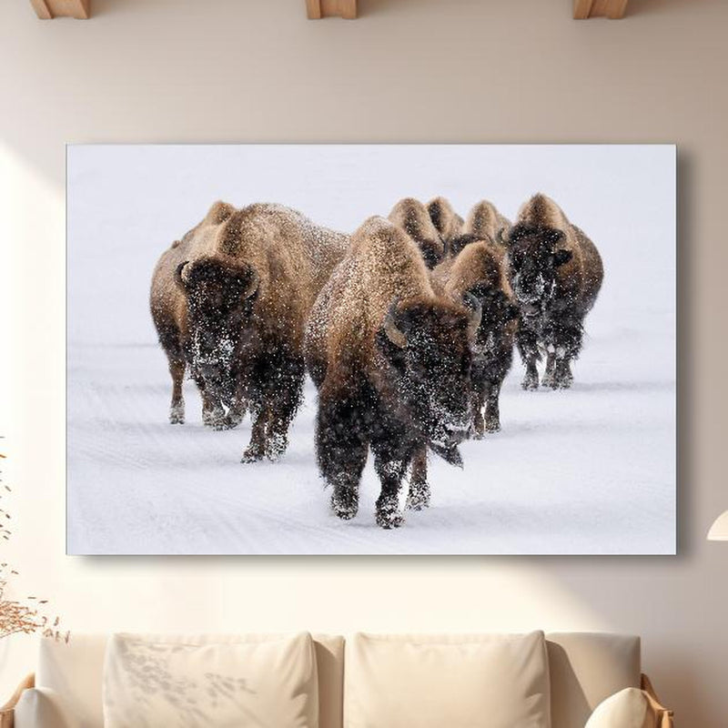 Wandbild - Eine Bison Herde in modernem Wohnzimmer im Loft-Stil Zoom