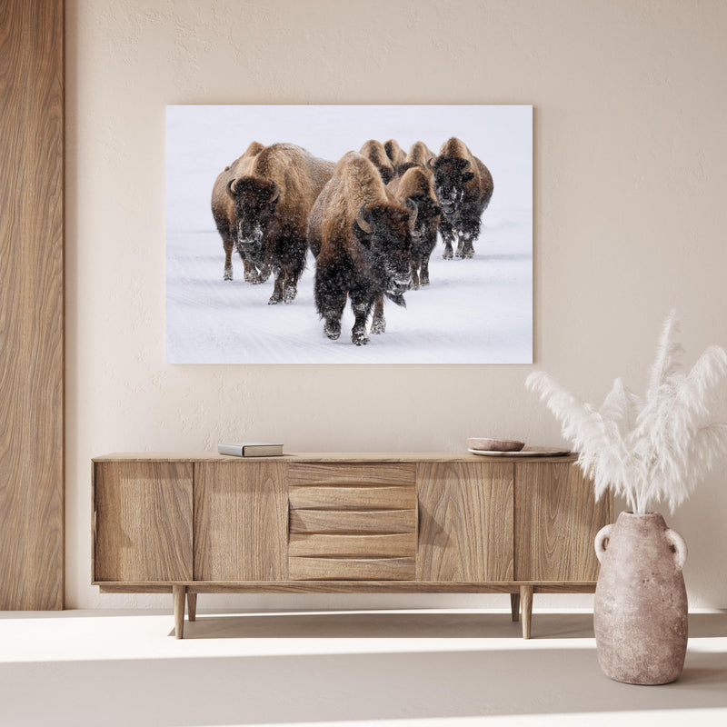 Wandbild - Eine Bison Herde über Holzkommode hinter dekorativer Zimmerpflanze