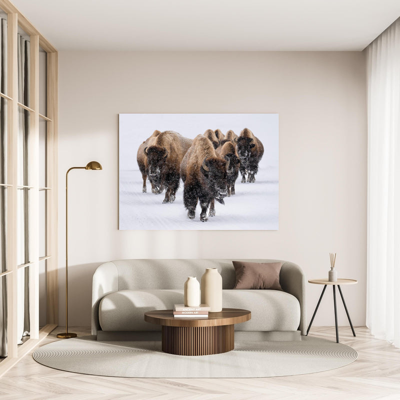 Wandbild - Eine Bison Herde in minimalistisch eingerichtetem cremefarbenen Wohnzimmer