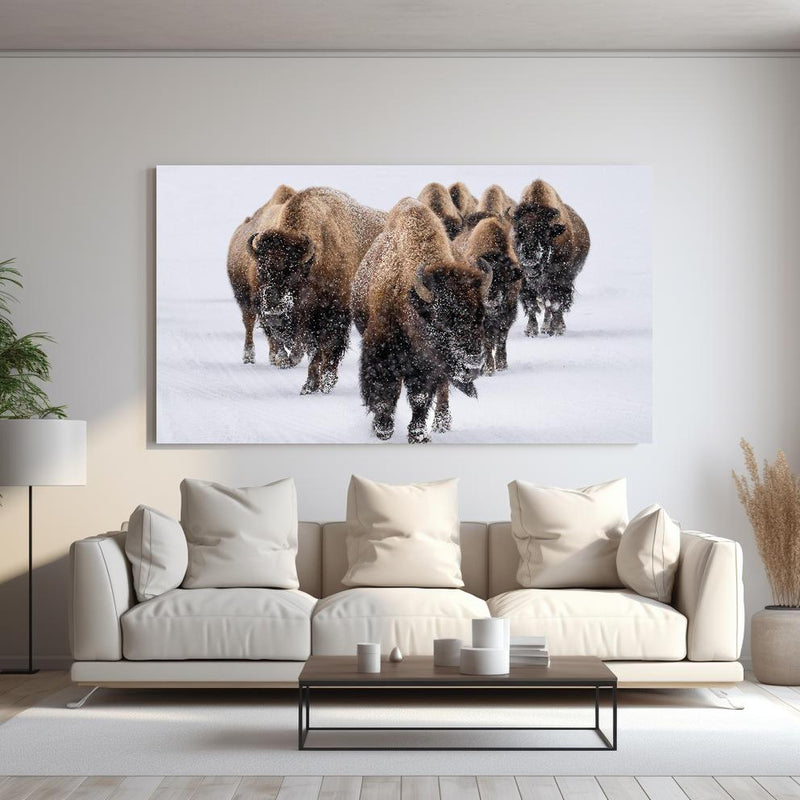 Wandbild - Eine Bison Herde hinter sanfter Couch mit cremefarbenen großen Kissen