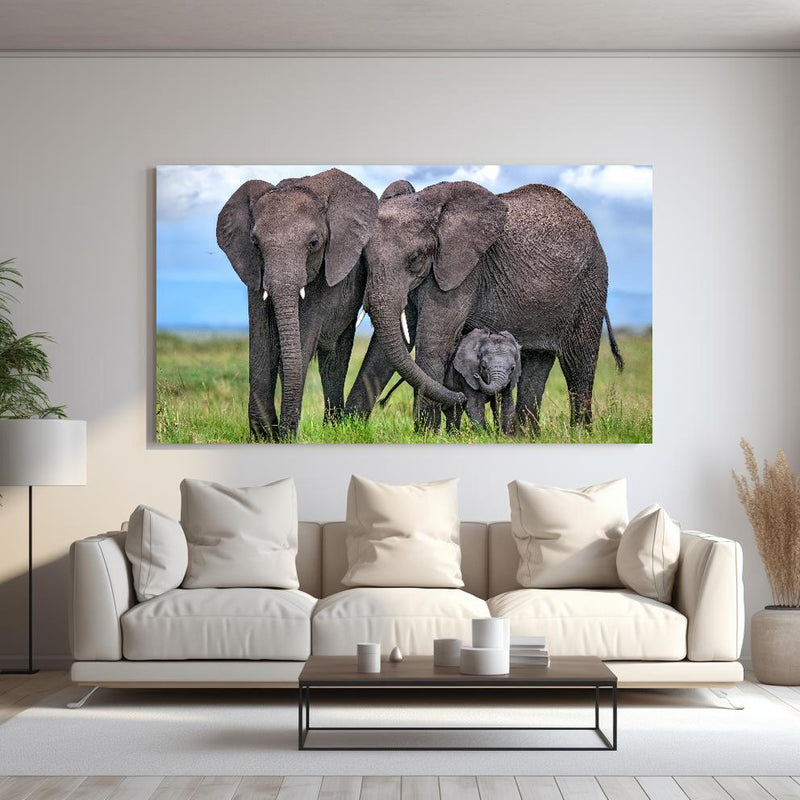 Wandbild - Elefanten Familie - Afrika hinter sanfter Couch mit cremefarbenen großen Kissen