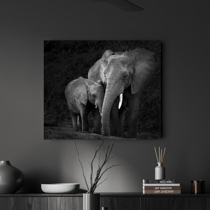 Wandbild - Elefanten in der Natur - schwarz-weiß in dunkel eingerichtetem Esszimmer an grauer Wand Zoom