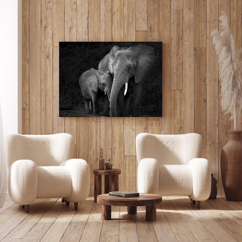 Wandbild - Elefanten in der Natur - schwarz-weiß an Holzwand hinter sanften Sesseln mit Plüschbezug