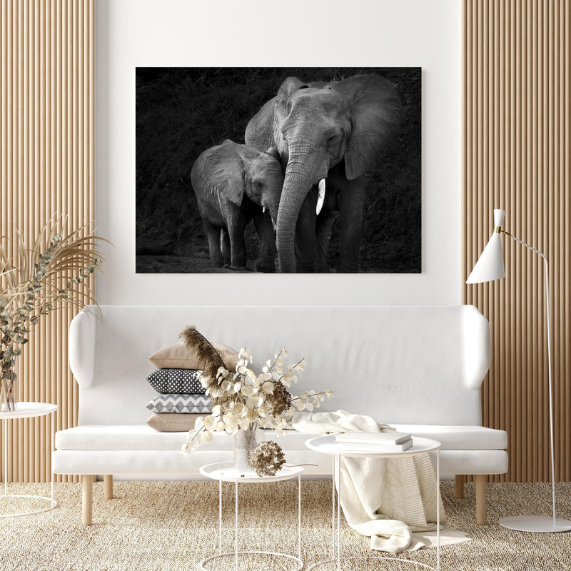 Wandbild - Elefanten in der Natur - schwarz-weiß in extravagant gestaltetem Raum mit minimalistischer Couch-quadratisch