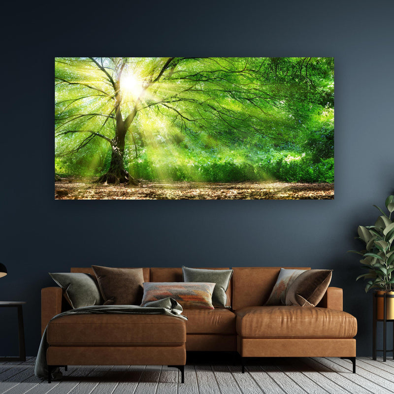 Wandbild - Energiegeladener Wald an dunkelgrüner Wand über klassischem Sofa
