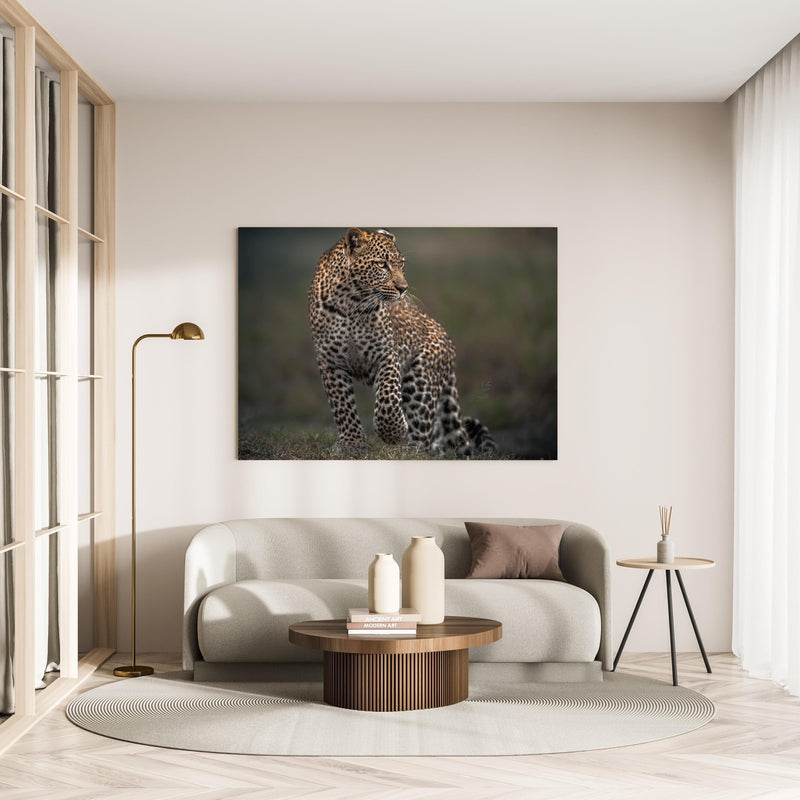 Wandbild - Fokussierter Leopard - Savanne in minimalistisch eingerichtetem cremefarbenen Wohnzimmer