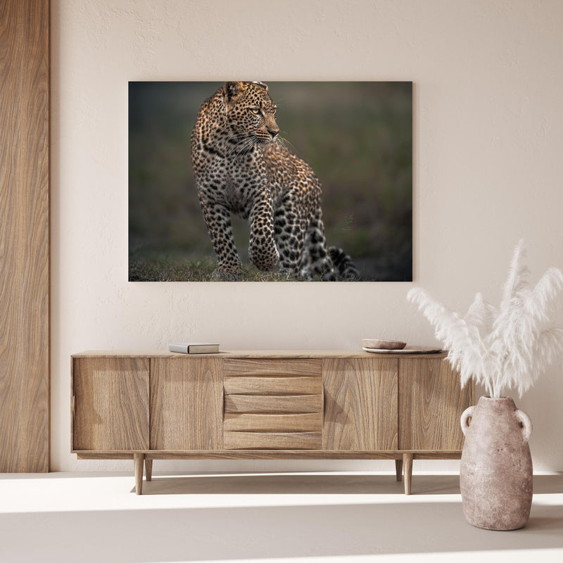 Wandbild - Fokussierter Leopard - Savanne über Holzkommode hinter dekorativer Zimmerpflanze