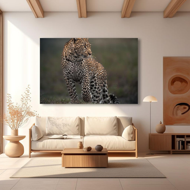 Wandbild - Fokussierter Leopard - Savanne in modernem Wohnzimmer im Loft-Stil