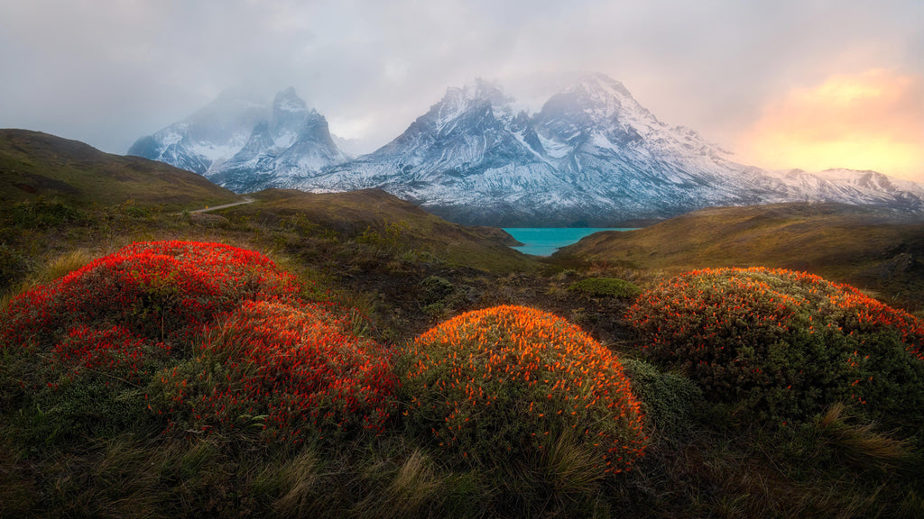 Wandbild-Frühling in Patagonia