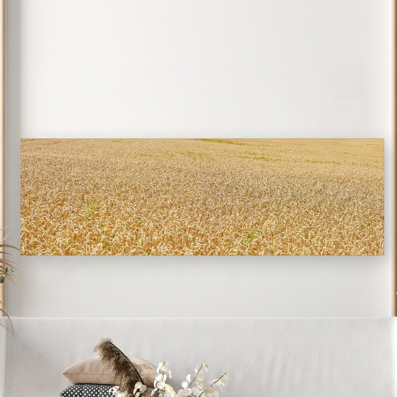 Wandbild - Getreidefeld - Panoramabild in extravagant gestaltetem Raum mit minimalistischer Couch-rechteckig Zoom