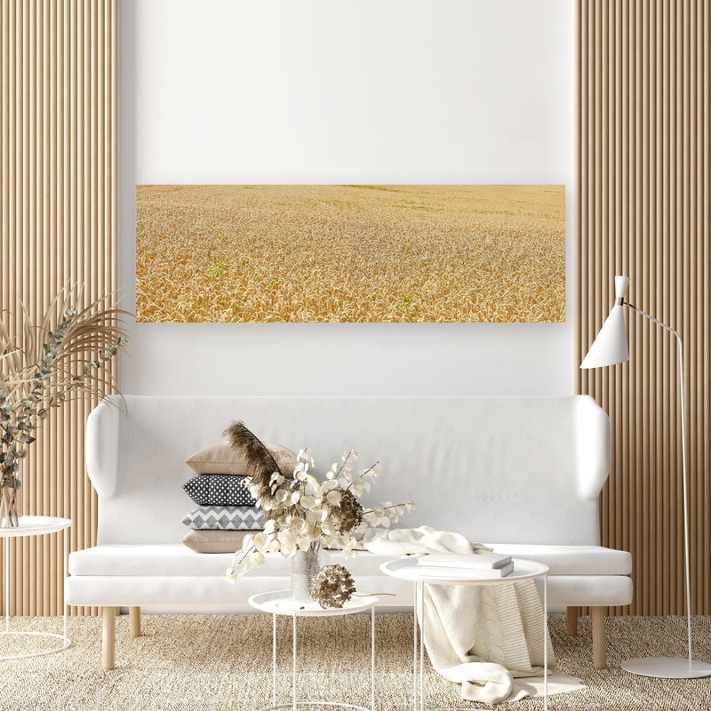 Wandbild - Getreidefeld - Panoramabild in extravagant gestaltetem Raum mit minimalistischer Couch-rechteckig
