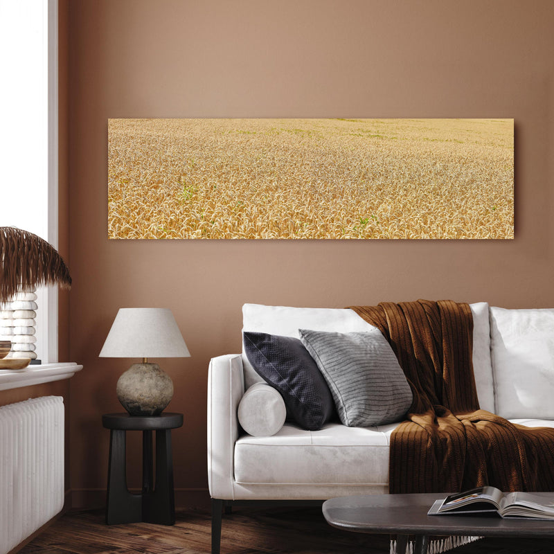 Wandbild - Getreidefeld - Panoramabild in dekorativem Wohnzimmer über einladendem Sofa