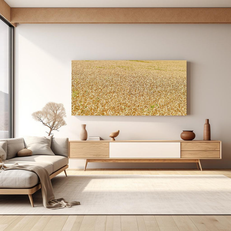 Wandbild - Getreidefeld - Panoramabild in hellem Wohnzimmer über extravaganter Kommode