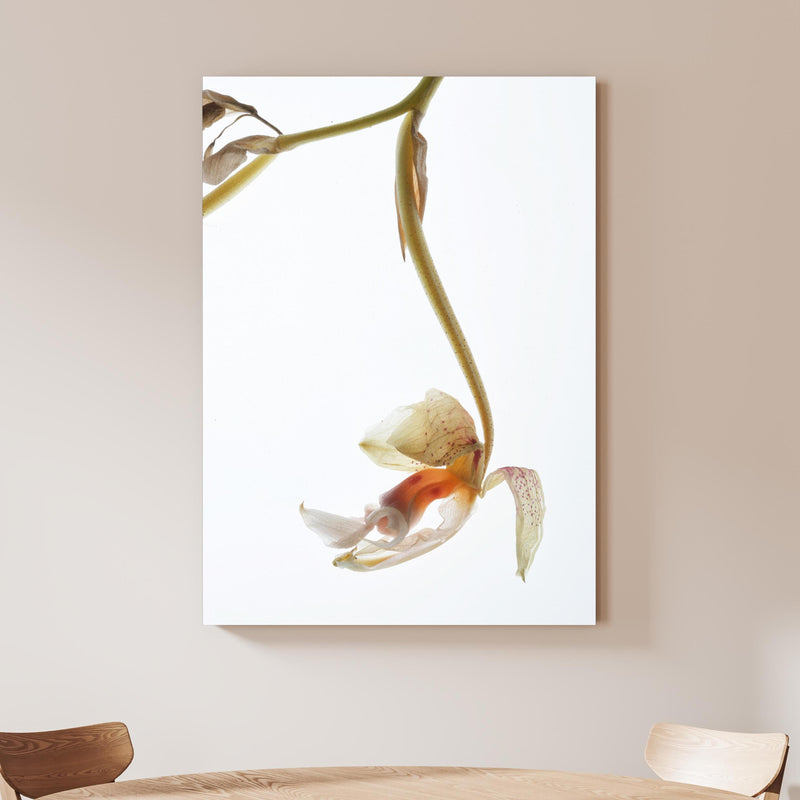 Wandbild - Helle Blume - Nahaufnahme an beiger Wand hinter handgeschnitztem Holztisch Zoom