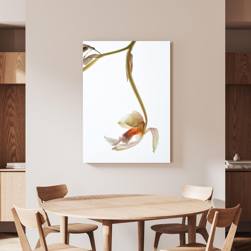 Wandbild - Helle Blume - Nahaufnahme an beiger Wand hinter handgeschnitztem Holztisch 