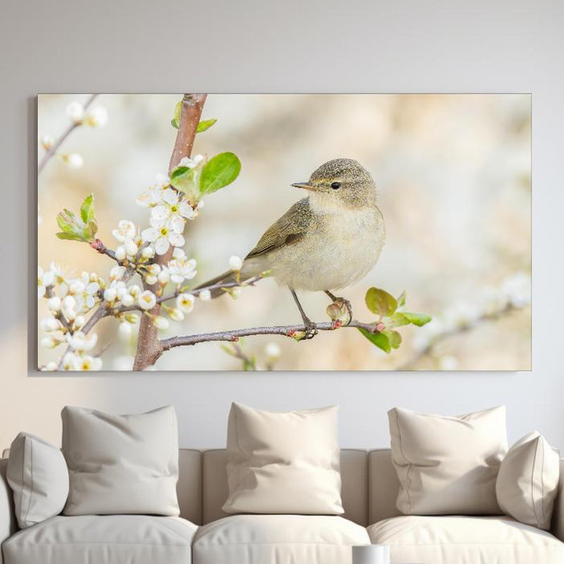 Wandbild - Kleiner Vogel am Baumzweig hinter sanfter Couch mit cremefarbenen großen Kissen Zoom
