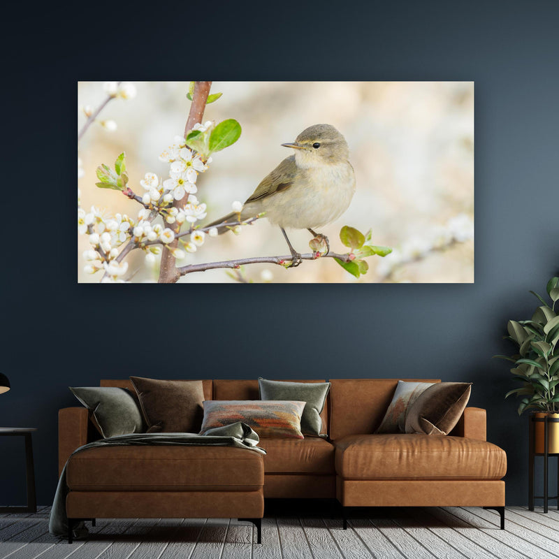 Wandbild - Kleiner Vogel am Baumzweig an dunkelgrüner Wand über klassischem Sofa